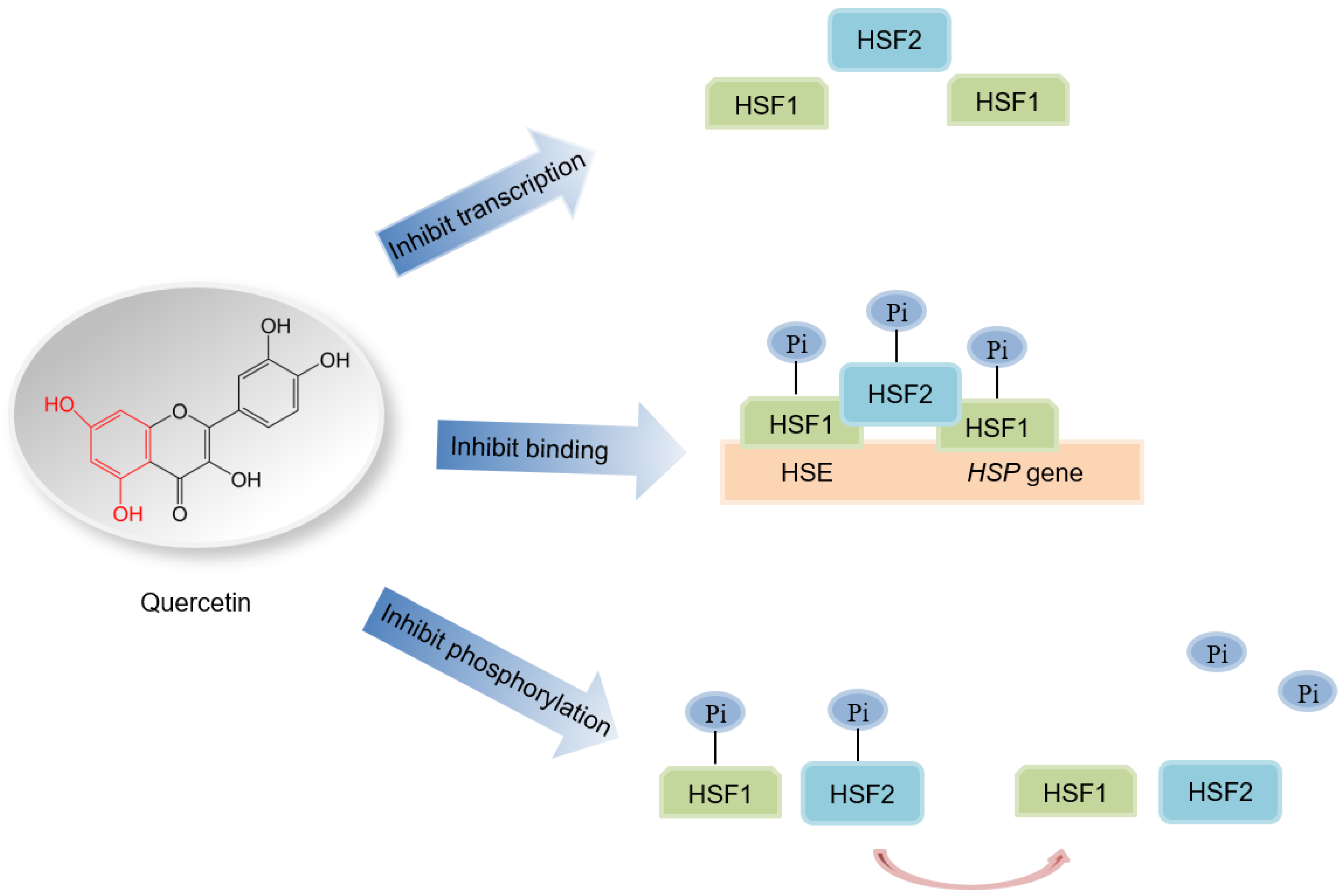 Genes 14 00792 g006 Genes 14 00792 g006