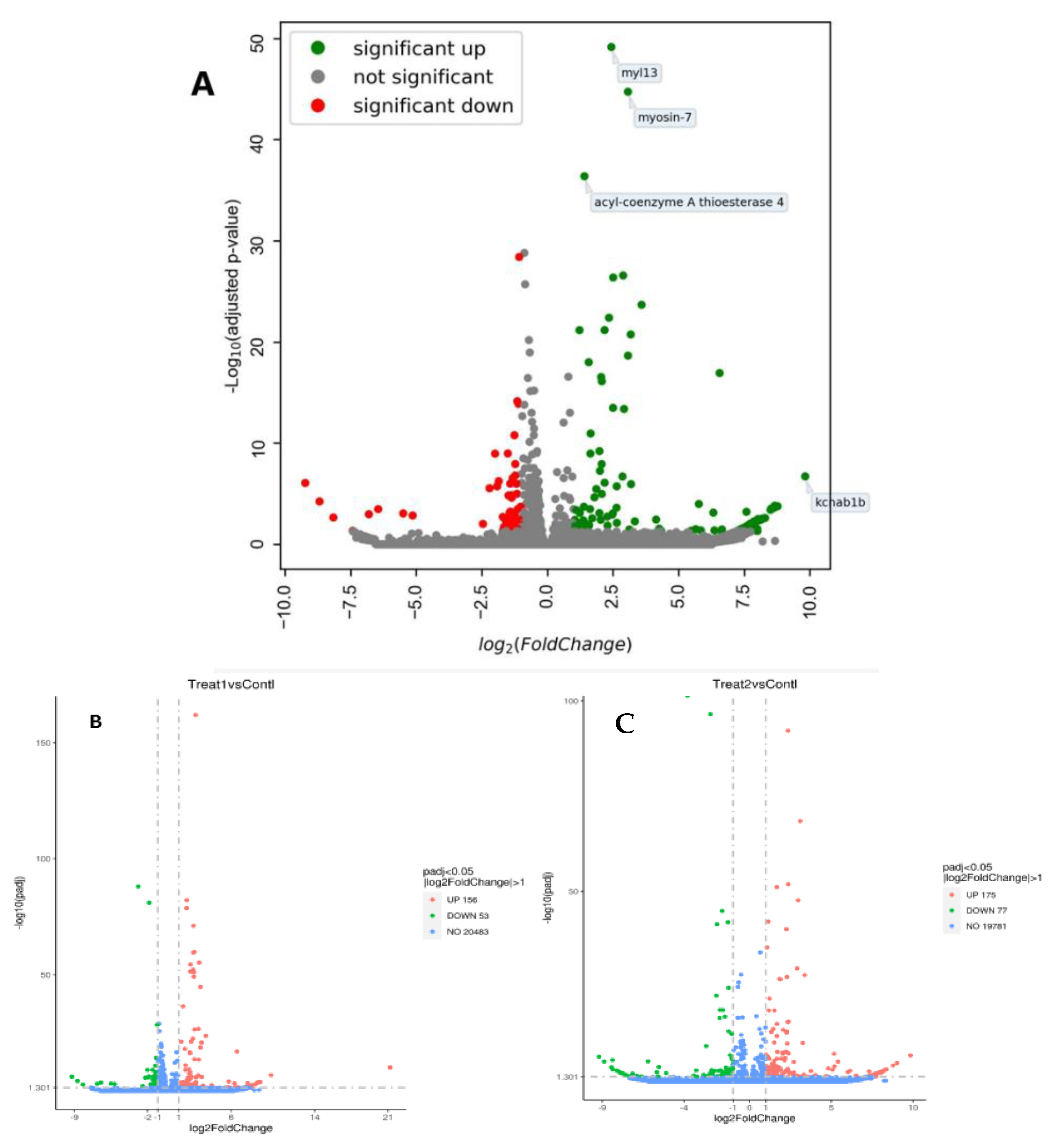 Genes 14 00795 g002 Genes 14 00795 g002