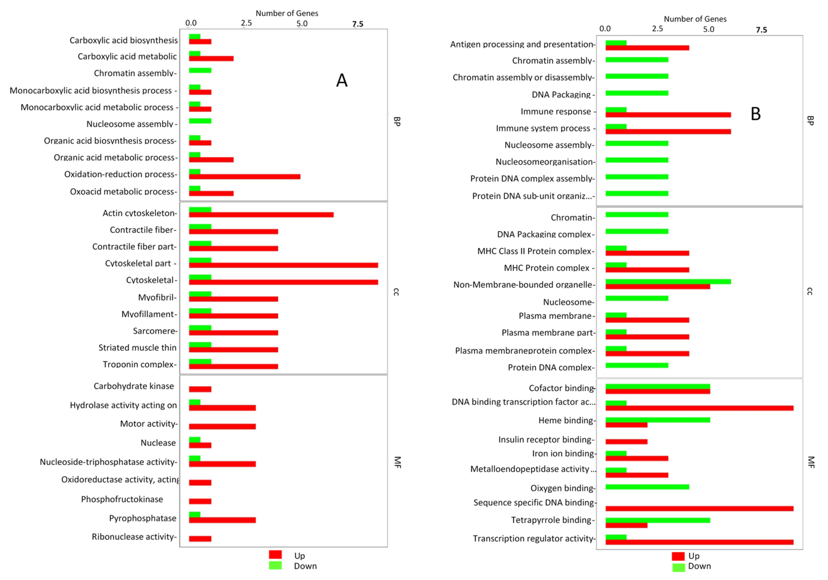 Genes 14 00795 g006 Genes 14 00795 g006