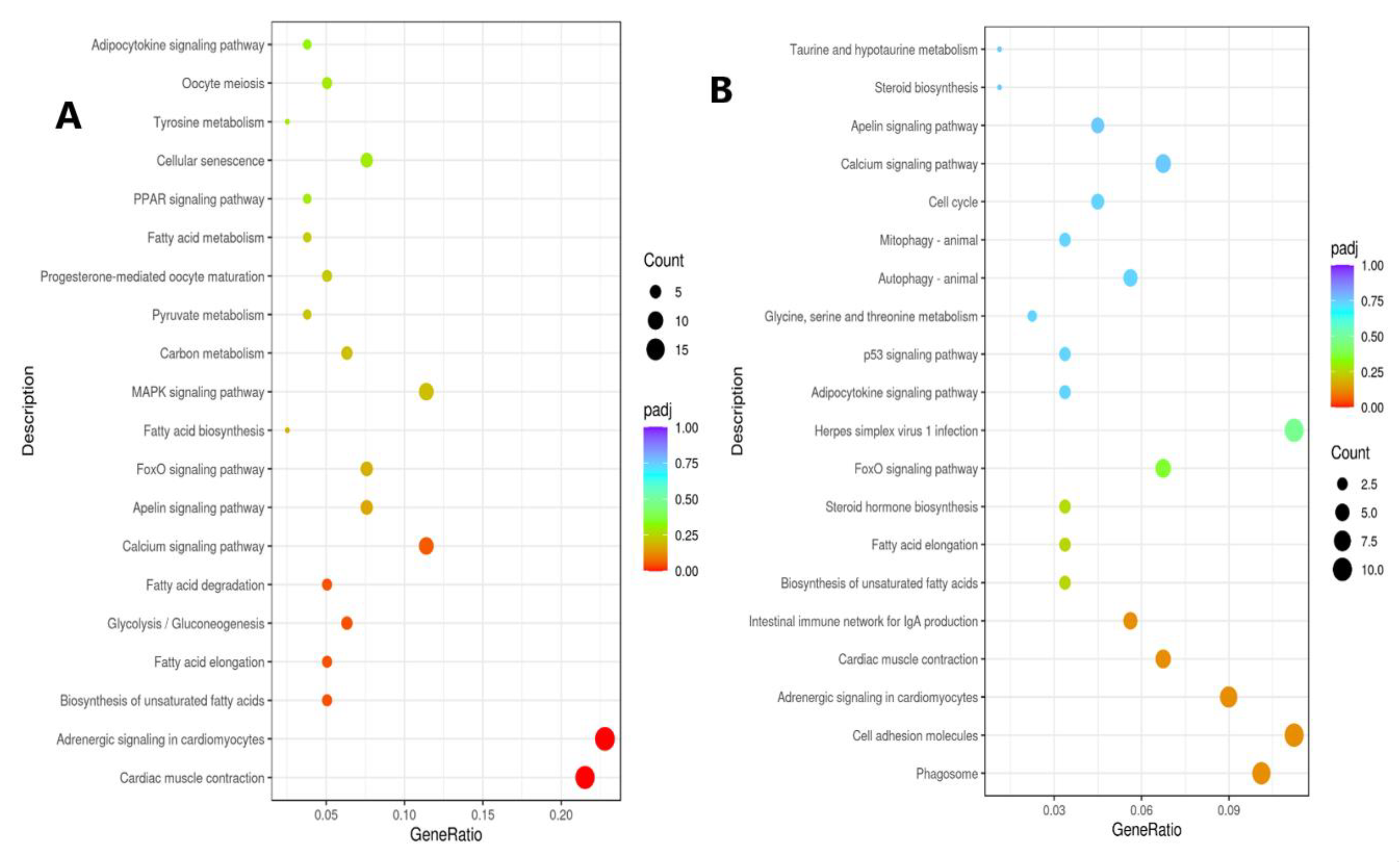 Genes 14 00795 g007 Genes 14 00795 g007