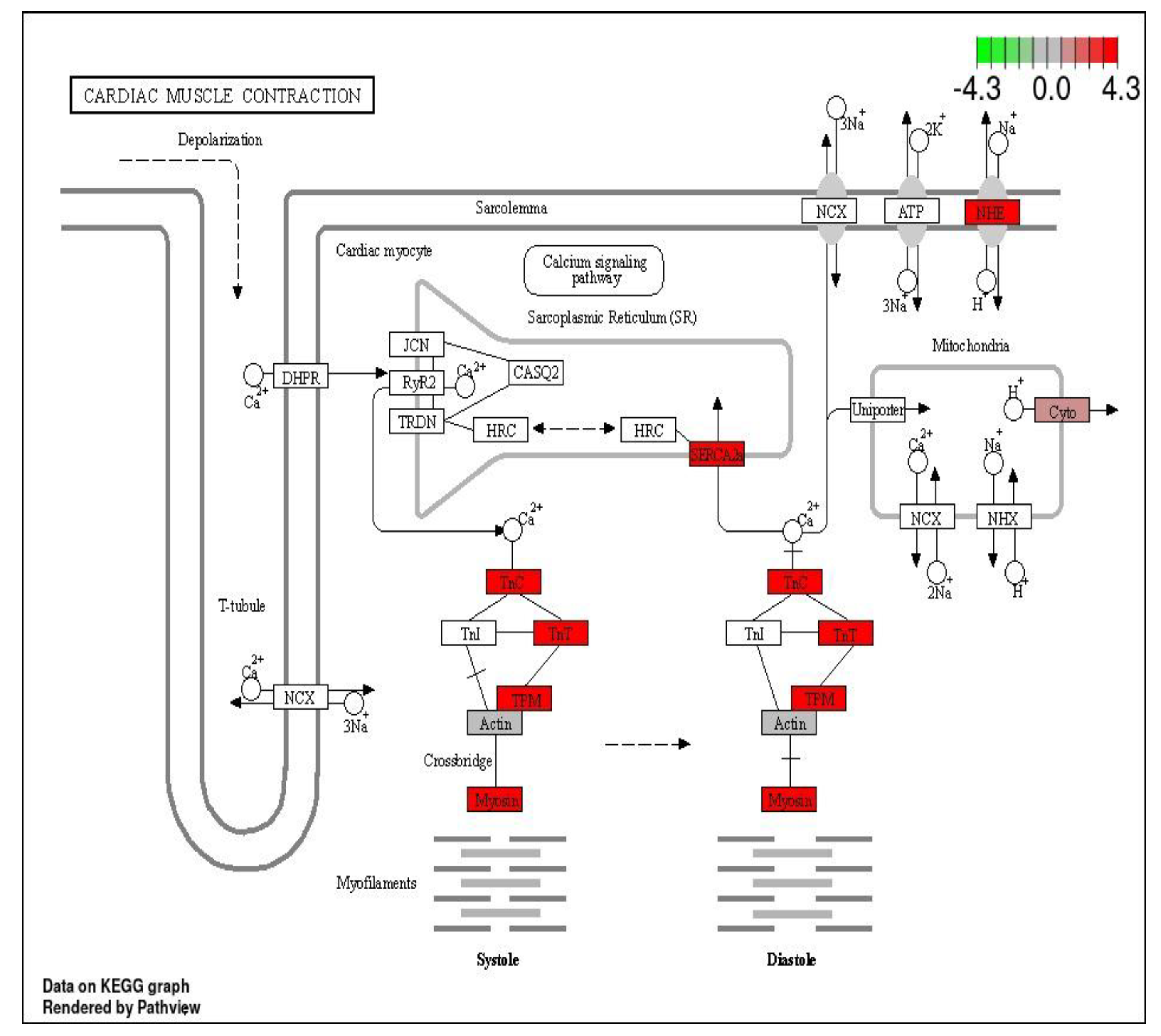 Genes 14 00795 g008 Genes 14 00795 g008