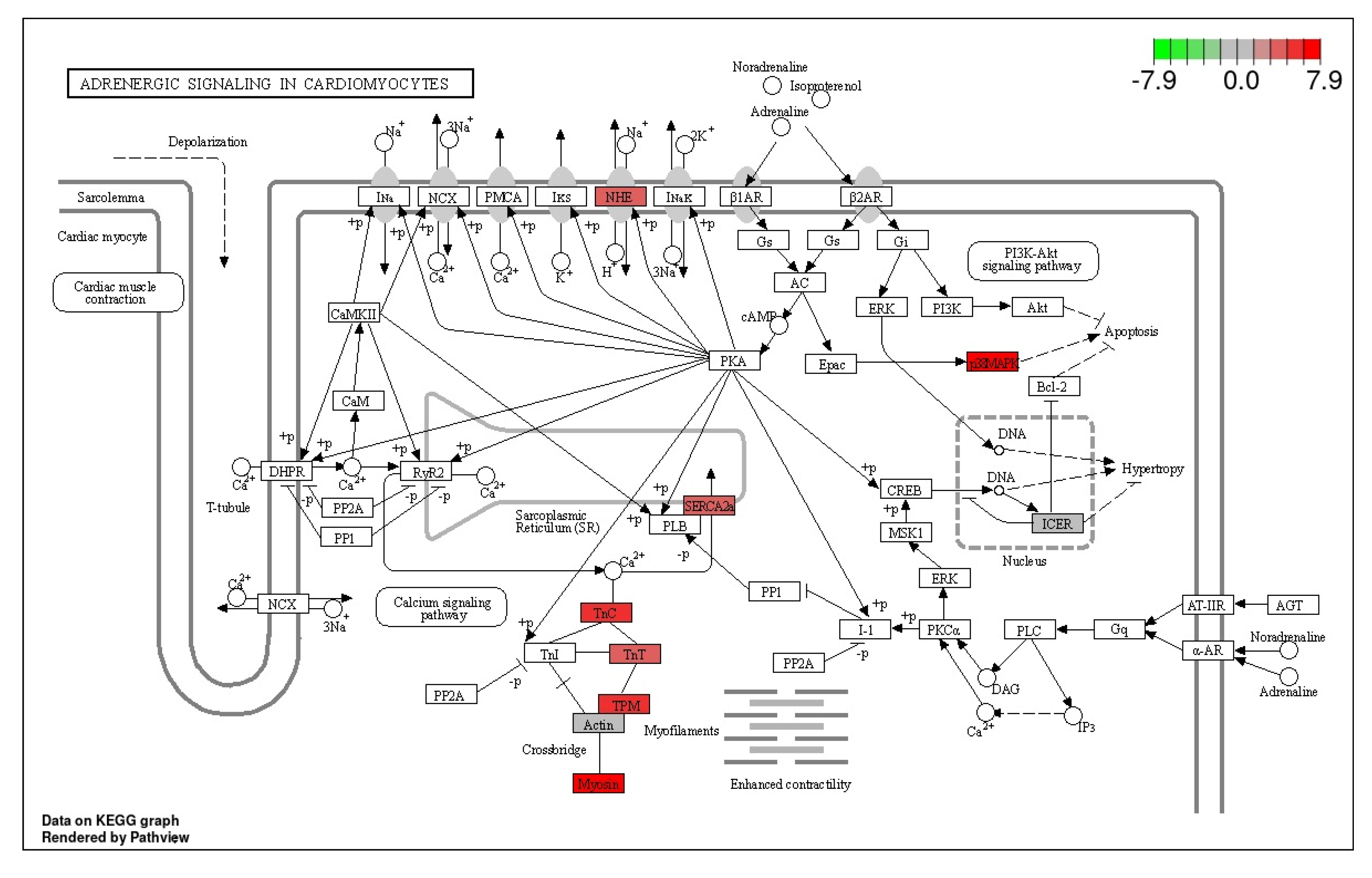 Genes 14 00795 g009 Genes 14 00795 g009
