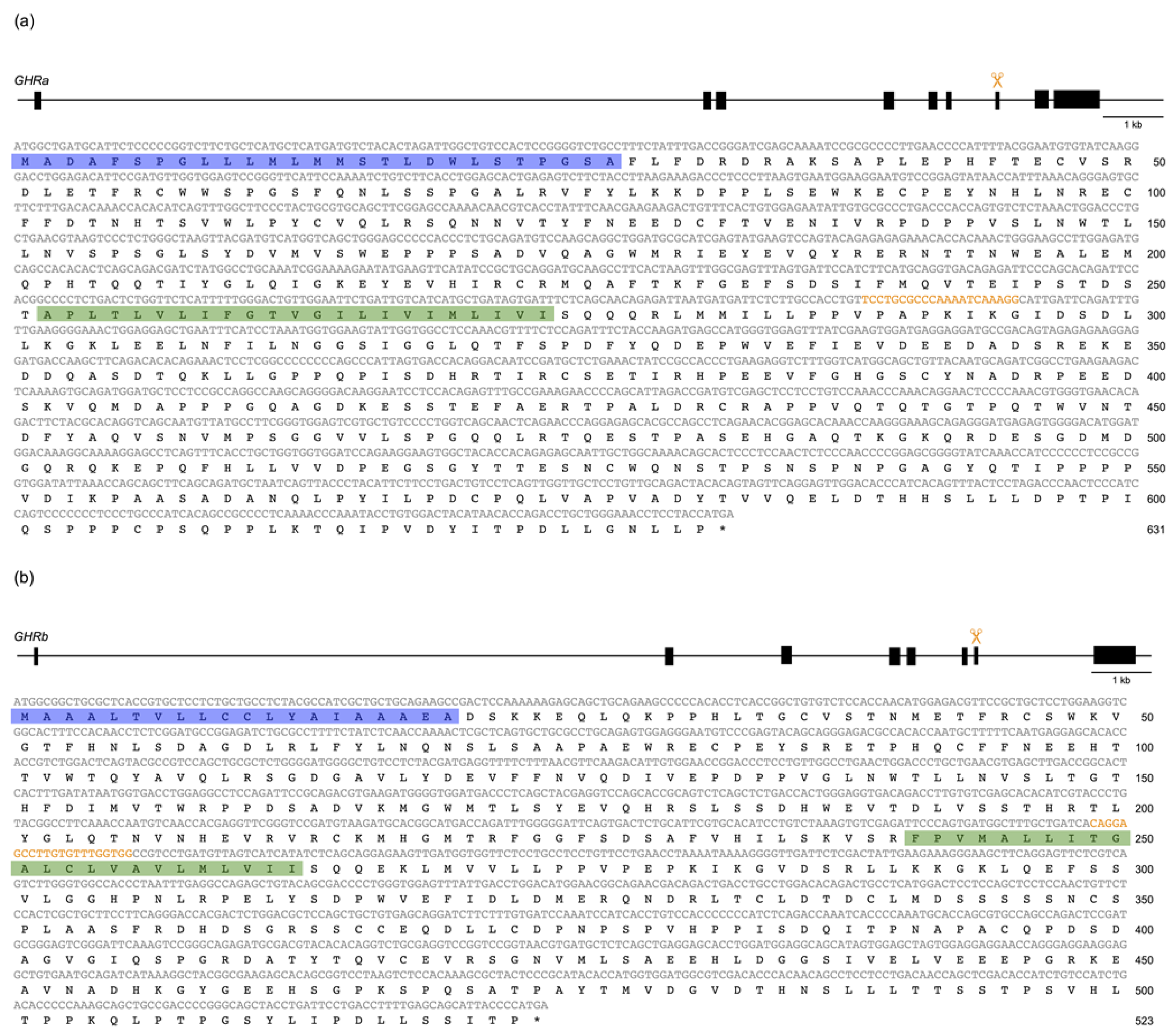 Genes 14 00796 g001 Genes 14 00796 g001