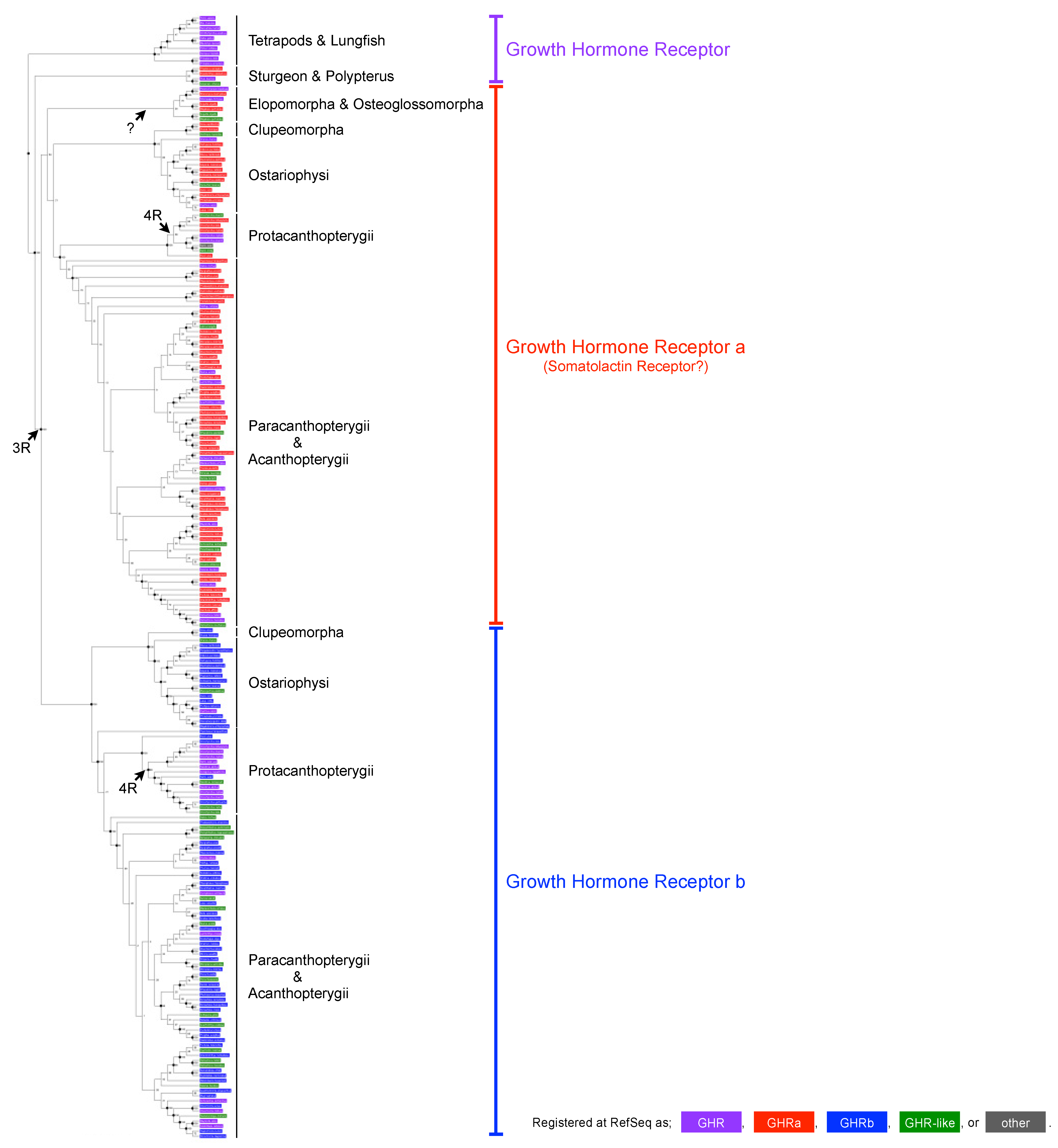 Genes 14 00796 g002 Genes 14 00796 g002