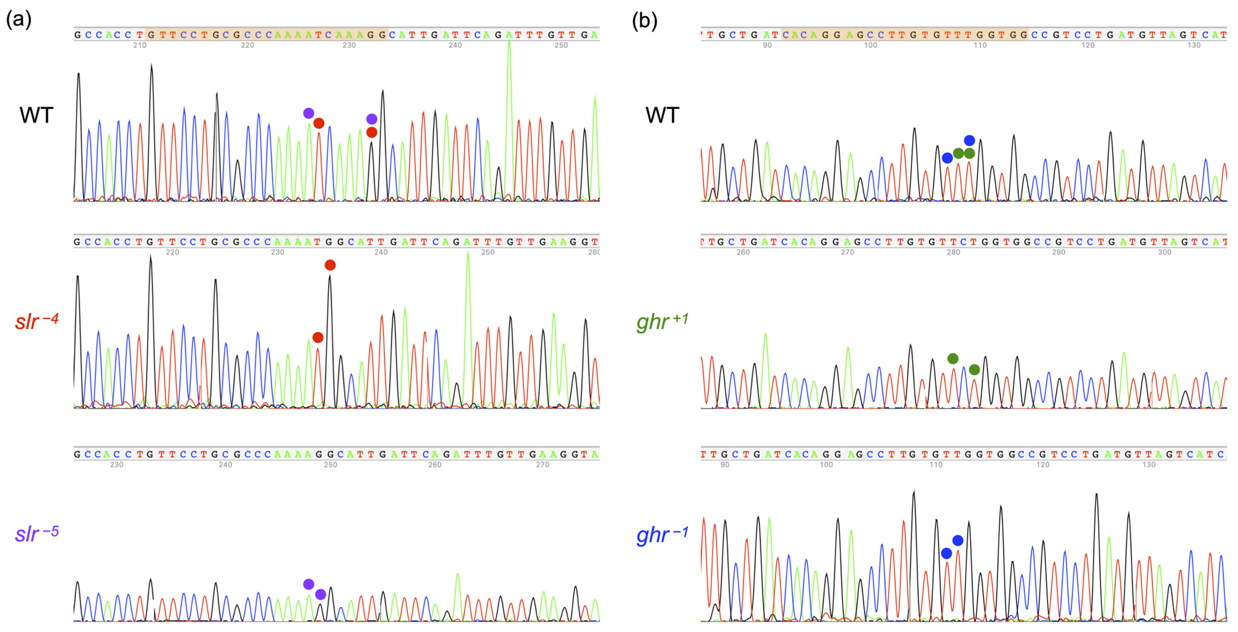 Genes 14 00796 g003 Genes 14 00796 g003