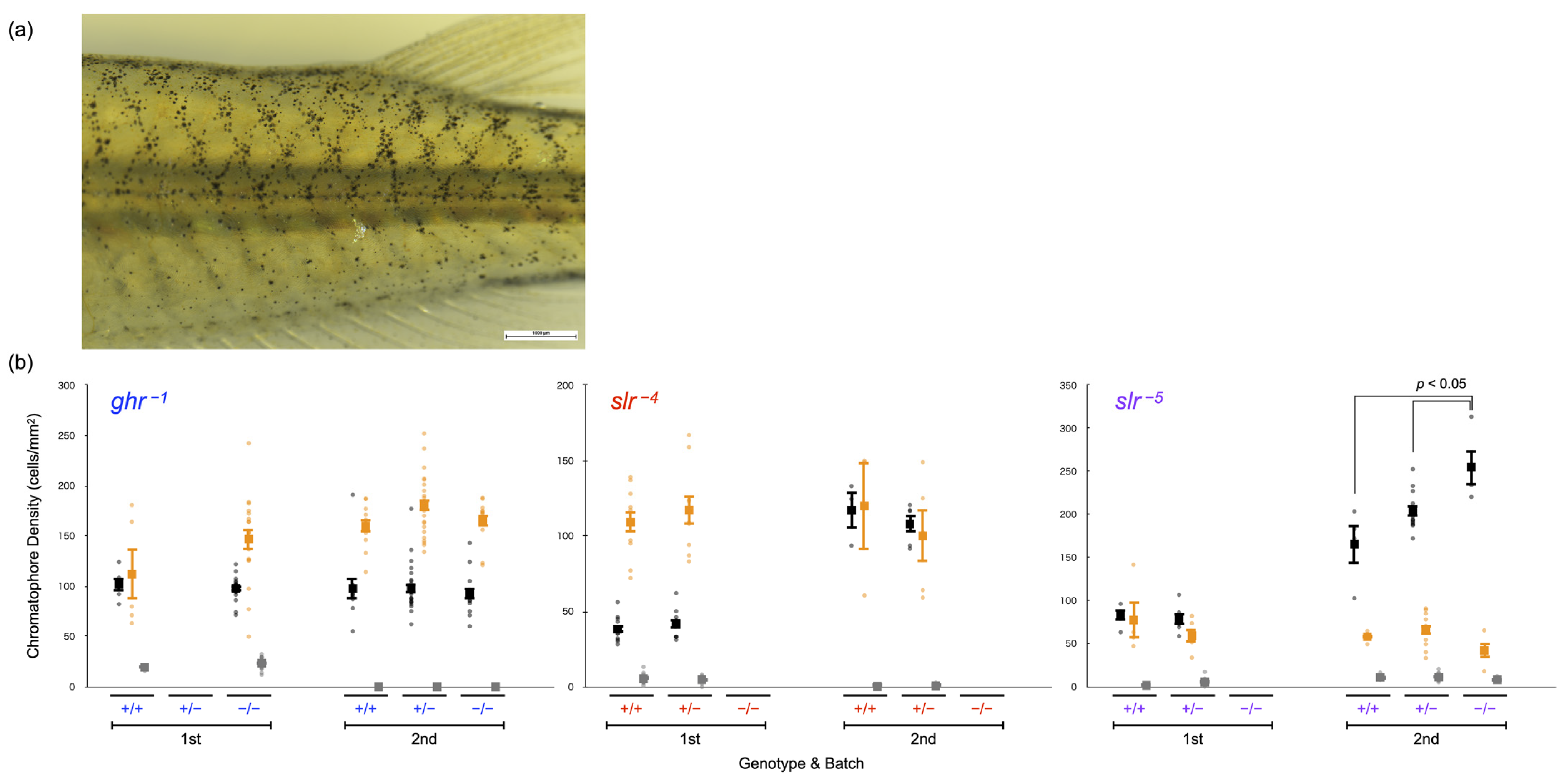 Genes 14 00796 g006 Genes 14 00796 g006