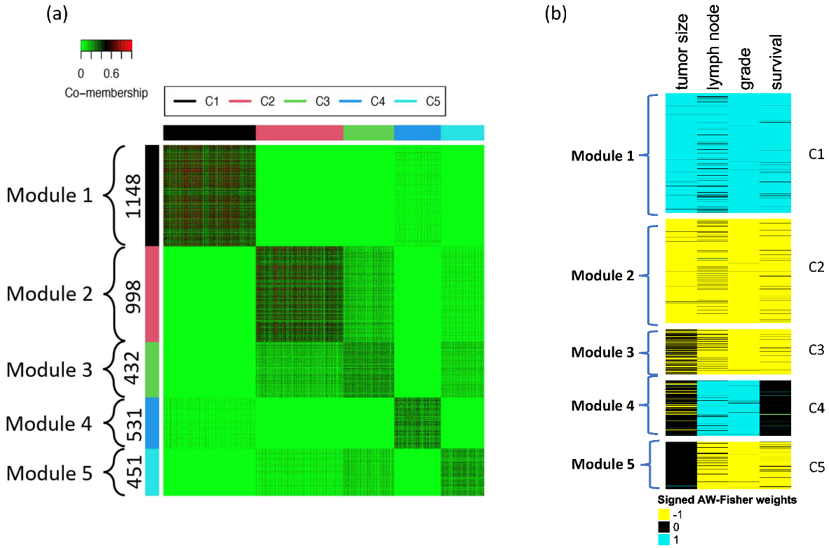 Genes 14 00798 g002