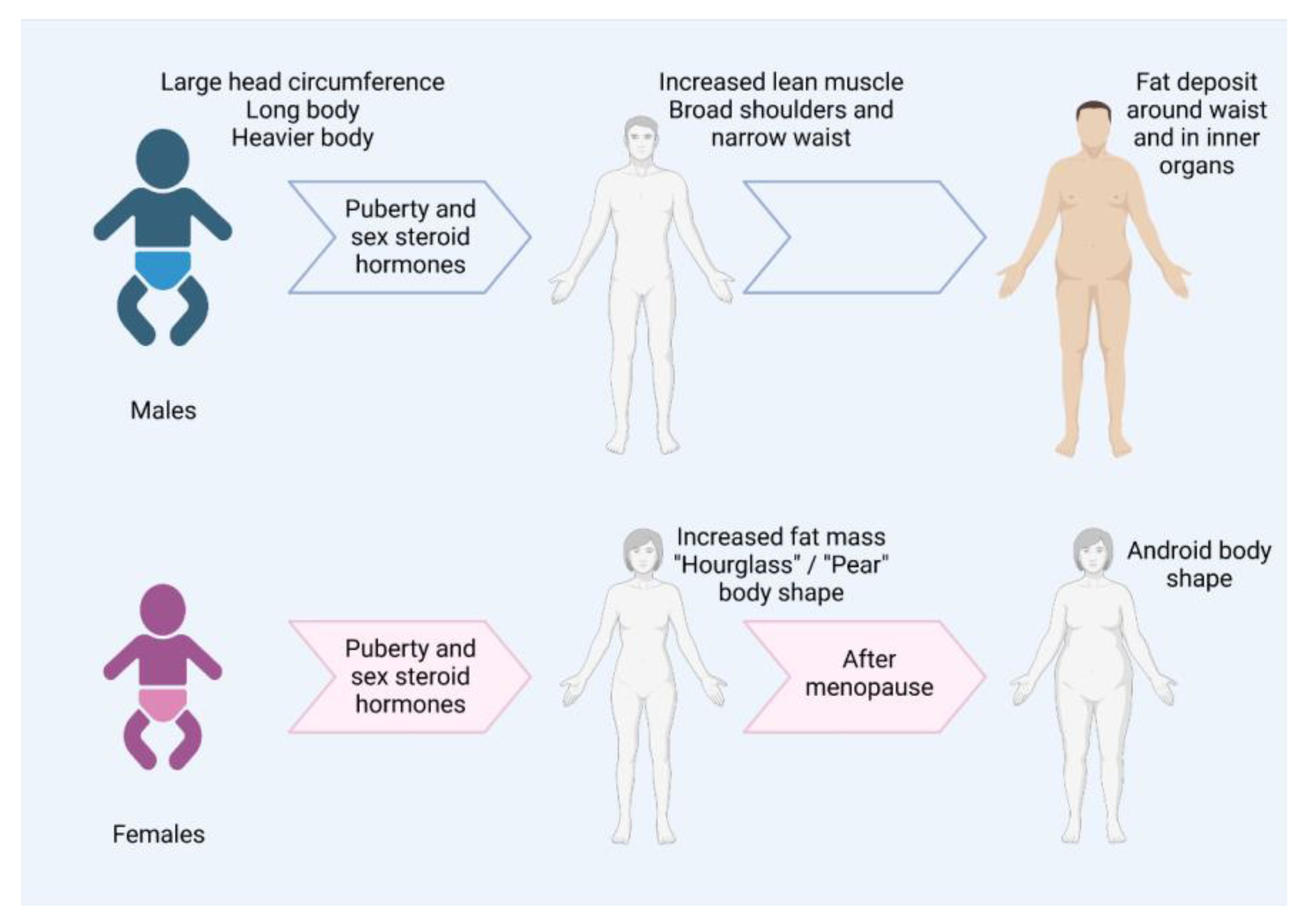 Genes 14 00799 g001 Genes 14 00799 g001