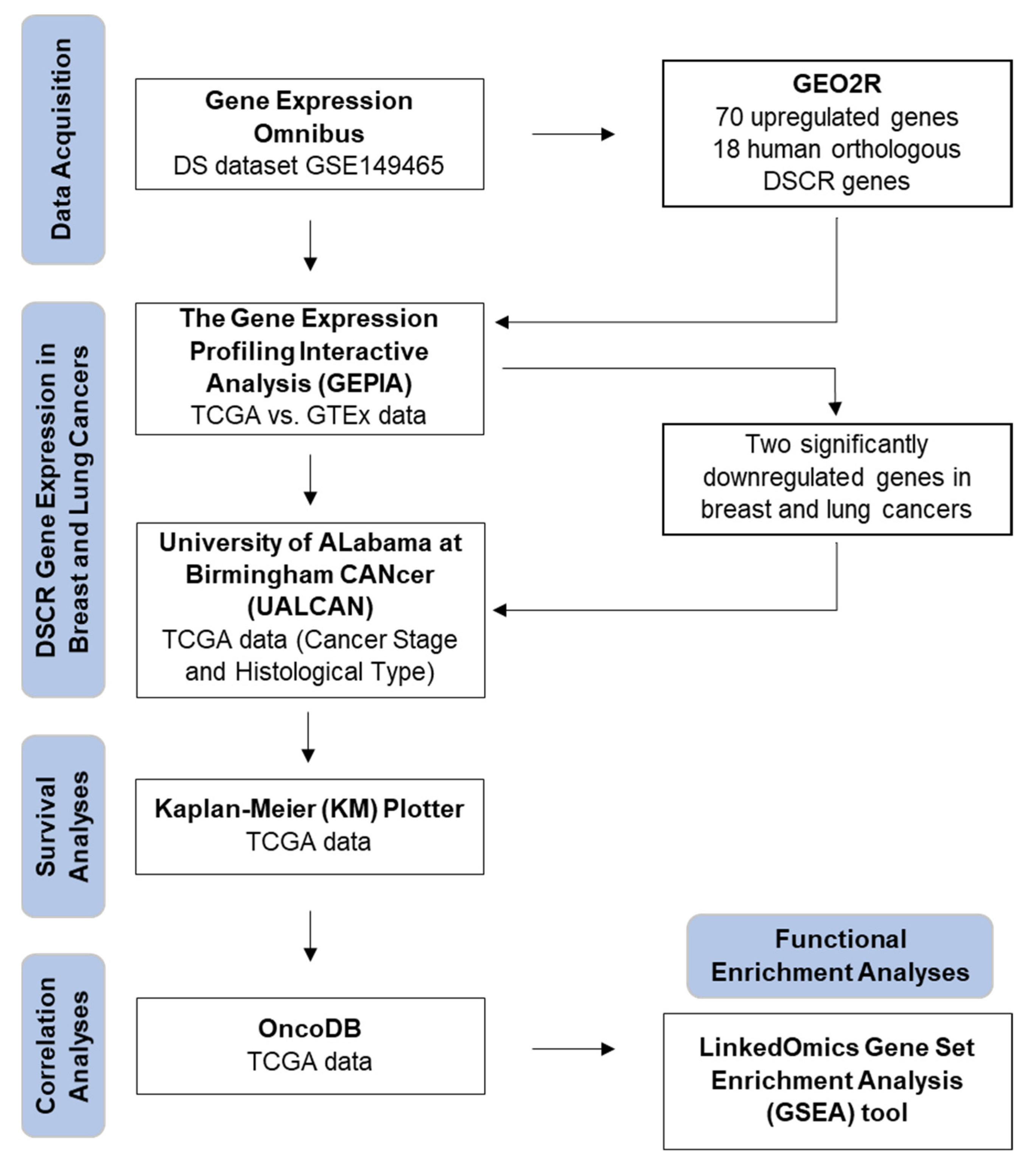 Genes 14 00800 g001 Genes 14 00800 g001