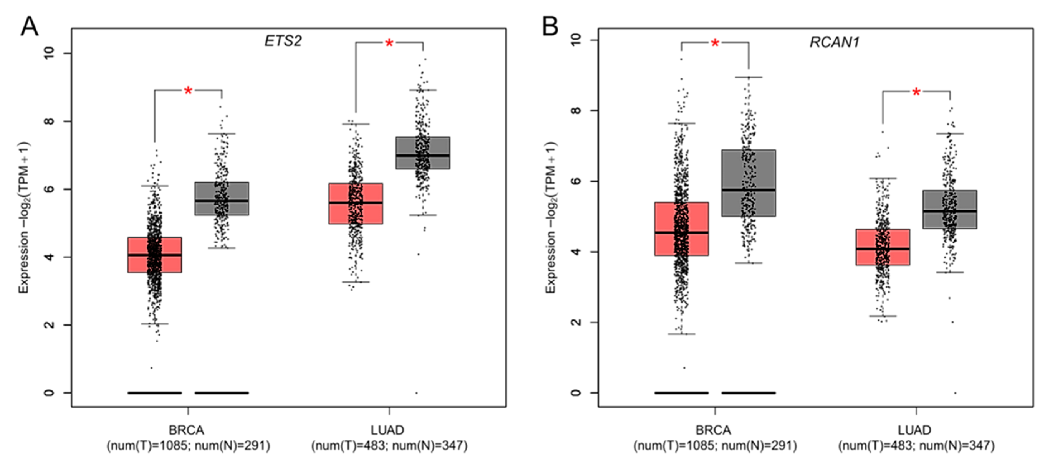 Genes 14 00800 g003 Genes 14 00800 g003