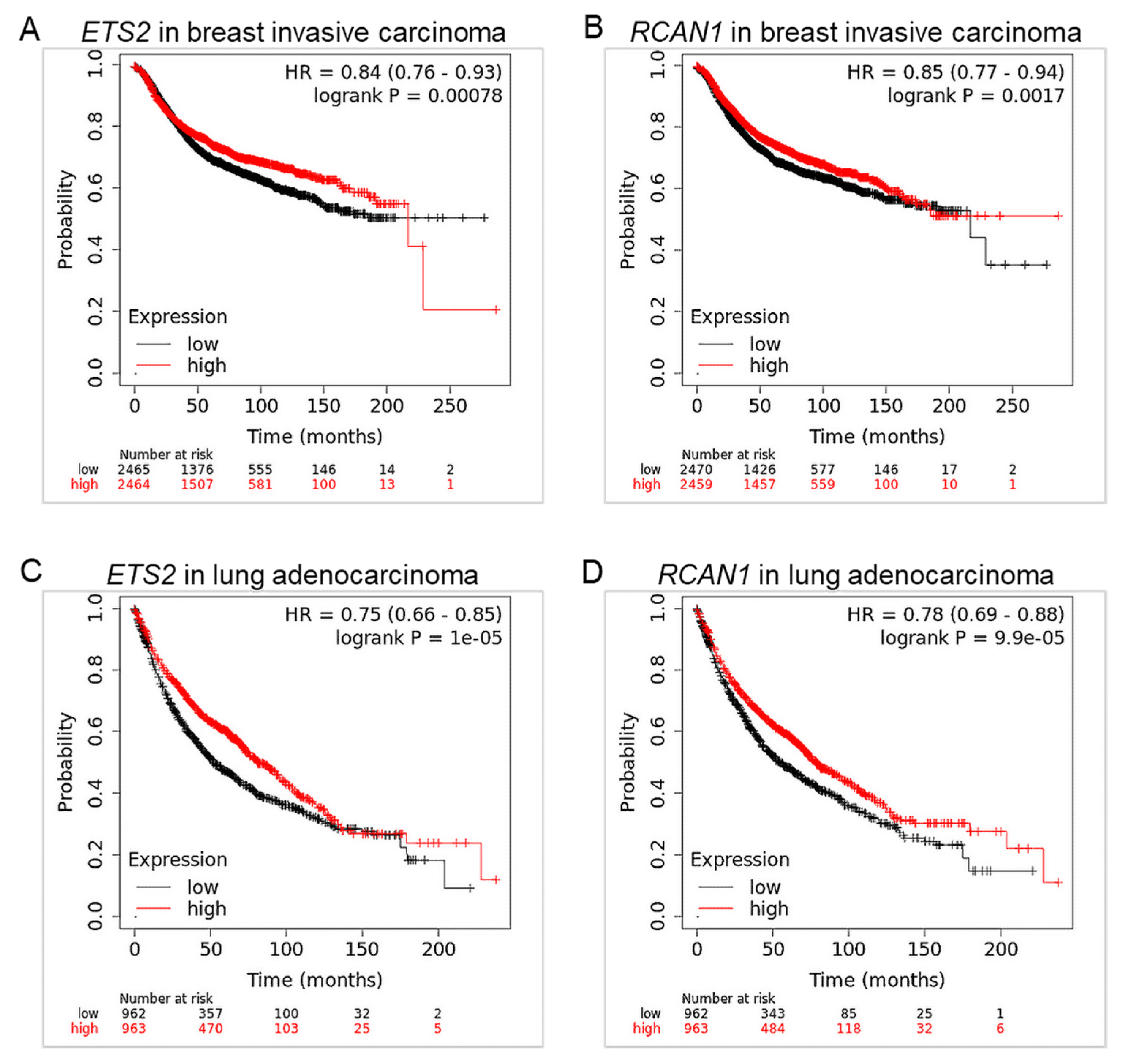 Genes 14 00800 g005 Genes 14 00800 g005