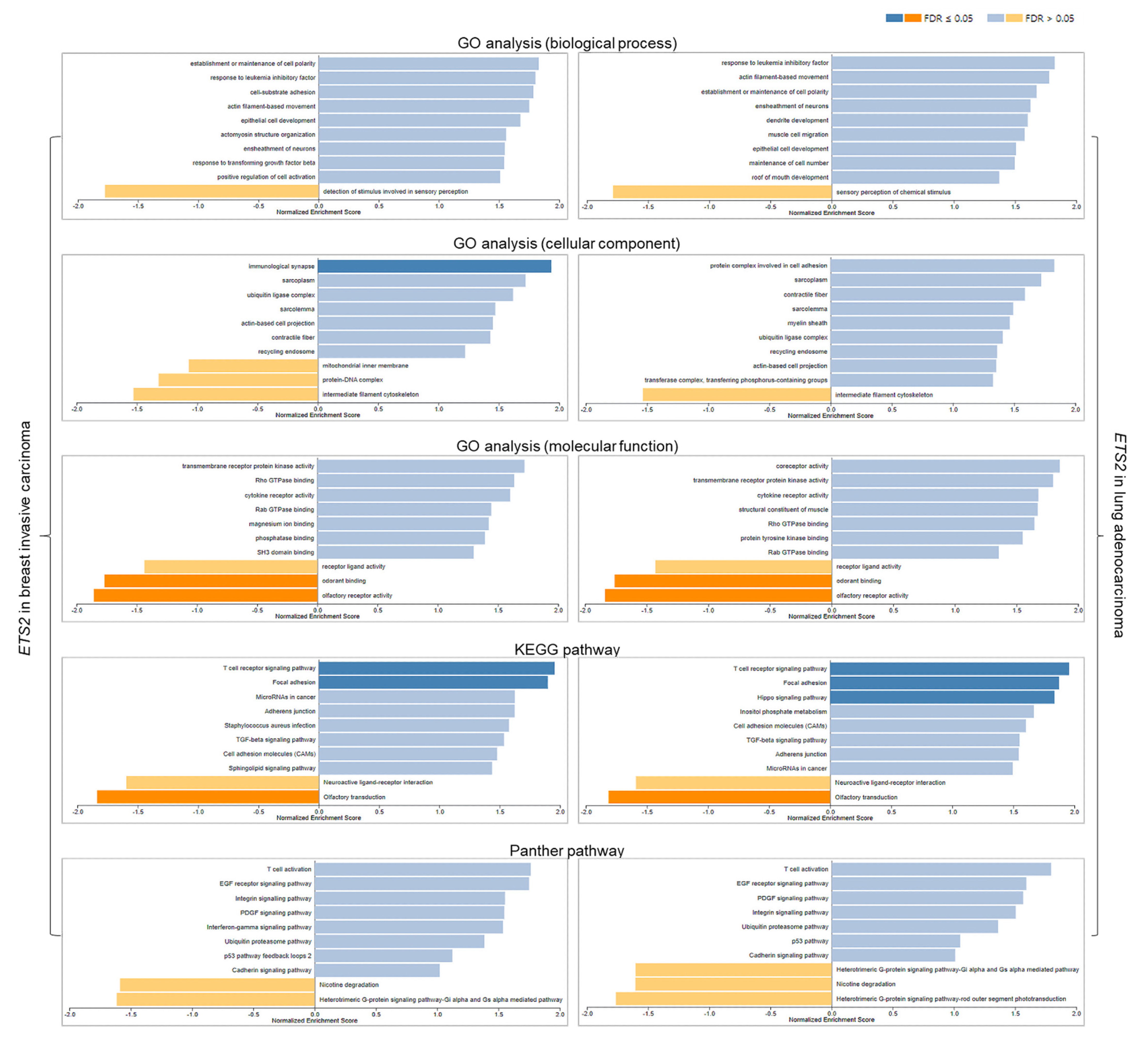 Genes 14 00800 g007 Genes 14 00800 g007