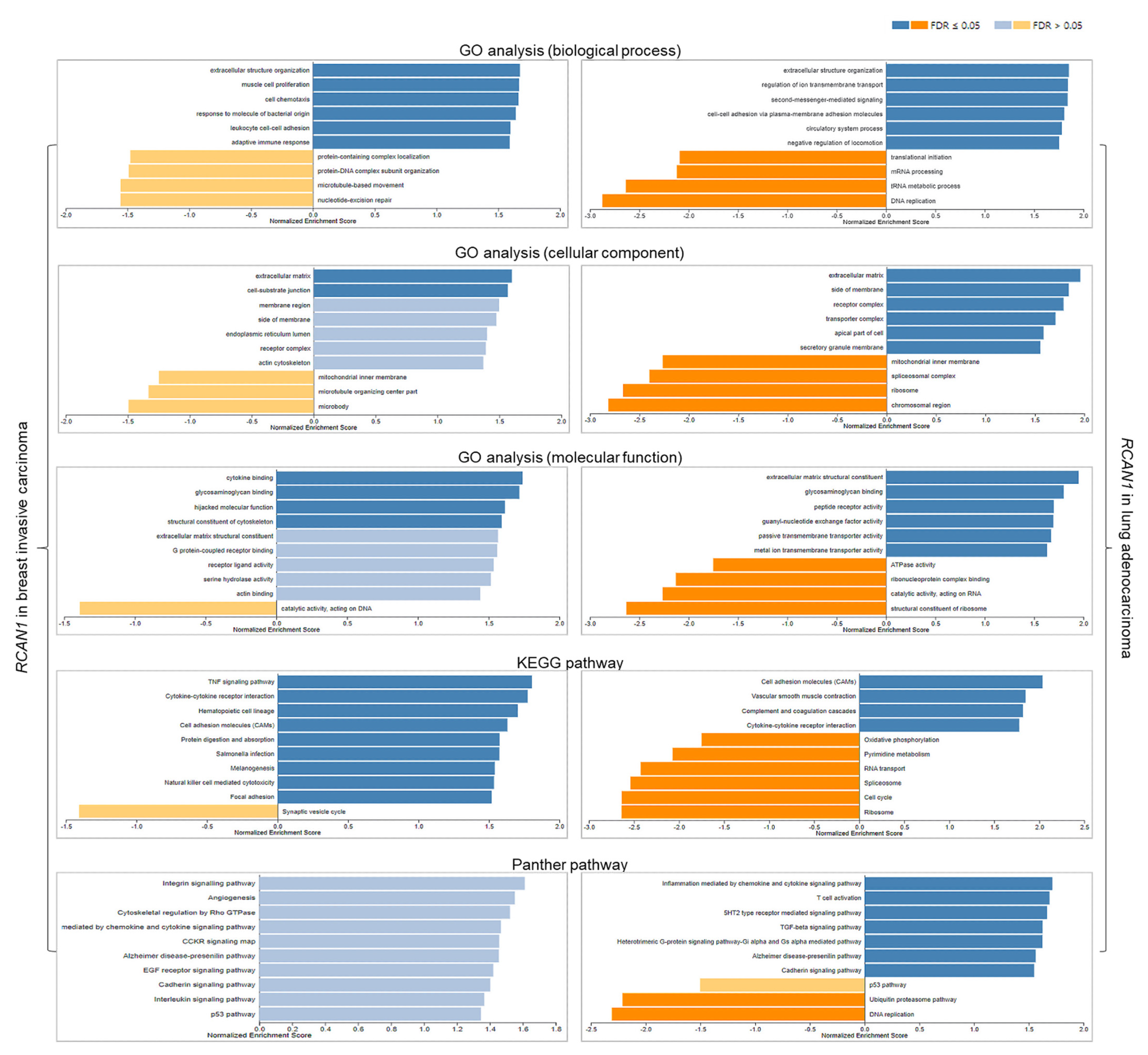 Genes 14 00800 g008 Genes 14 00800 g008