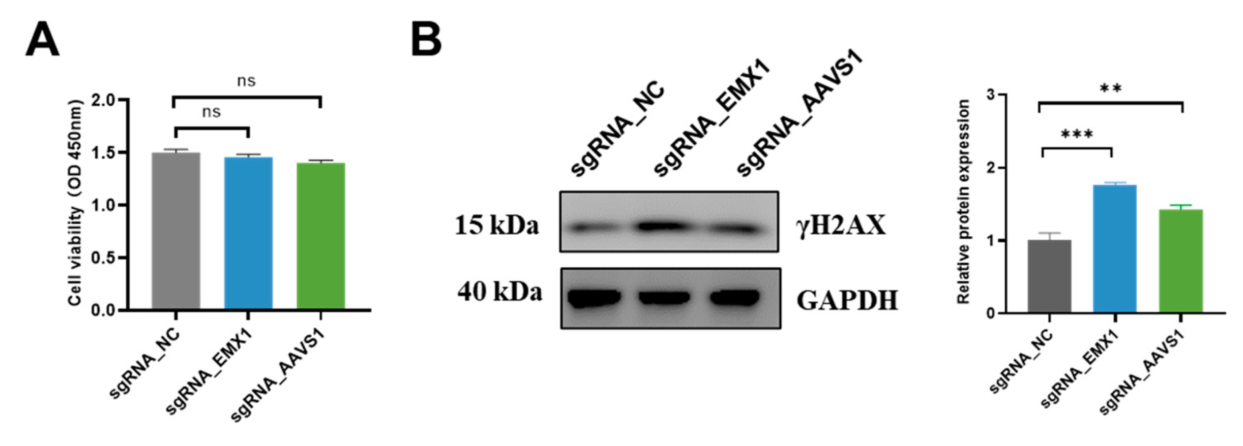 Genes 14 00806 g005 Genes 14 00806 g005