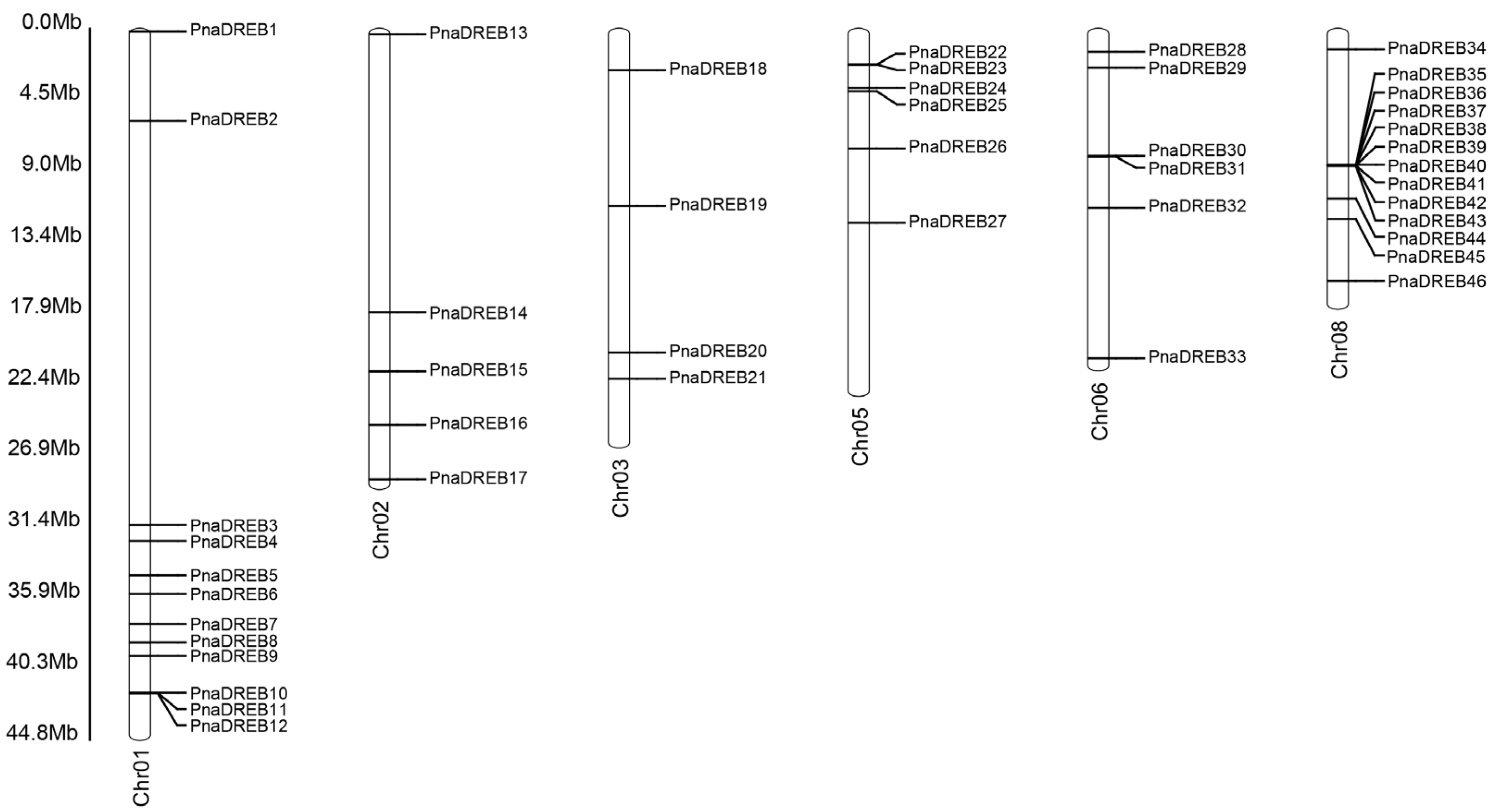 Genes 14 00811 g001 Genes 14 00811 g001
