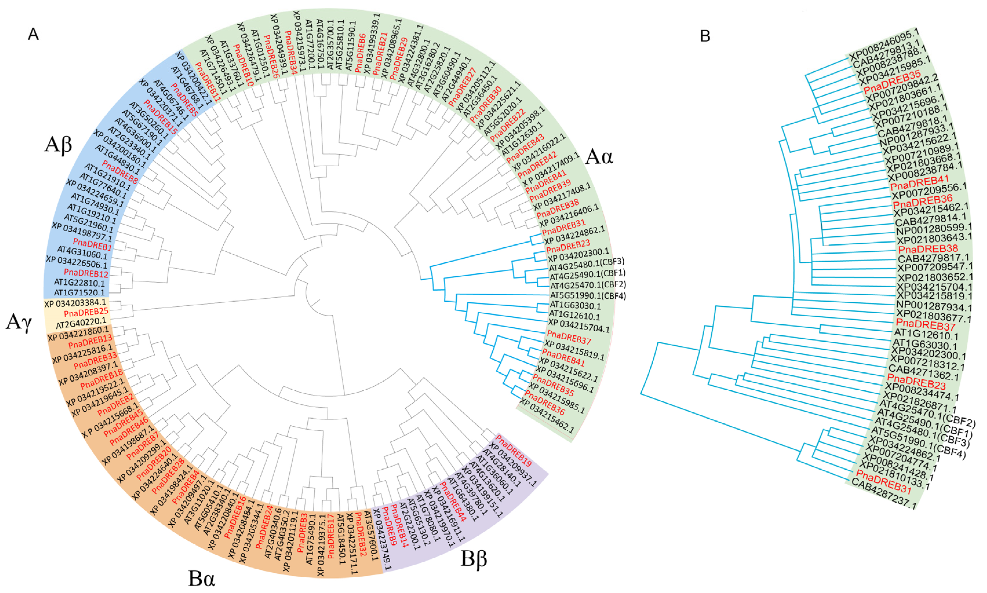 Genes 14 00811 g002 Genes 14 00811 g002