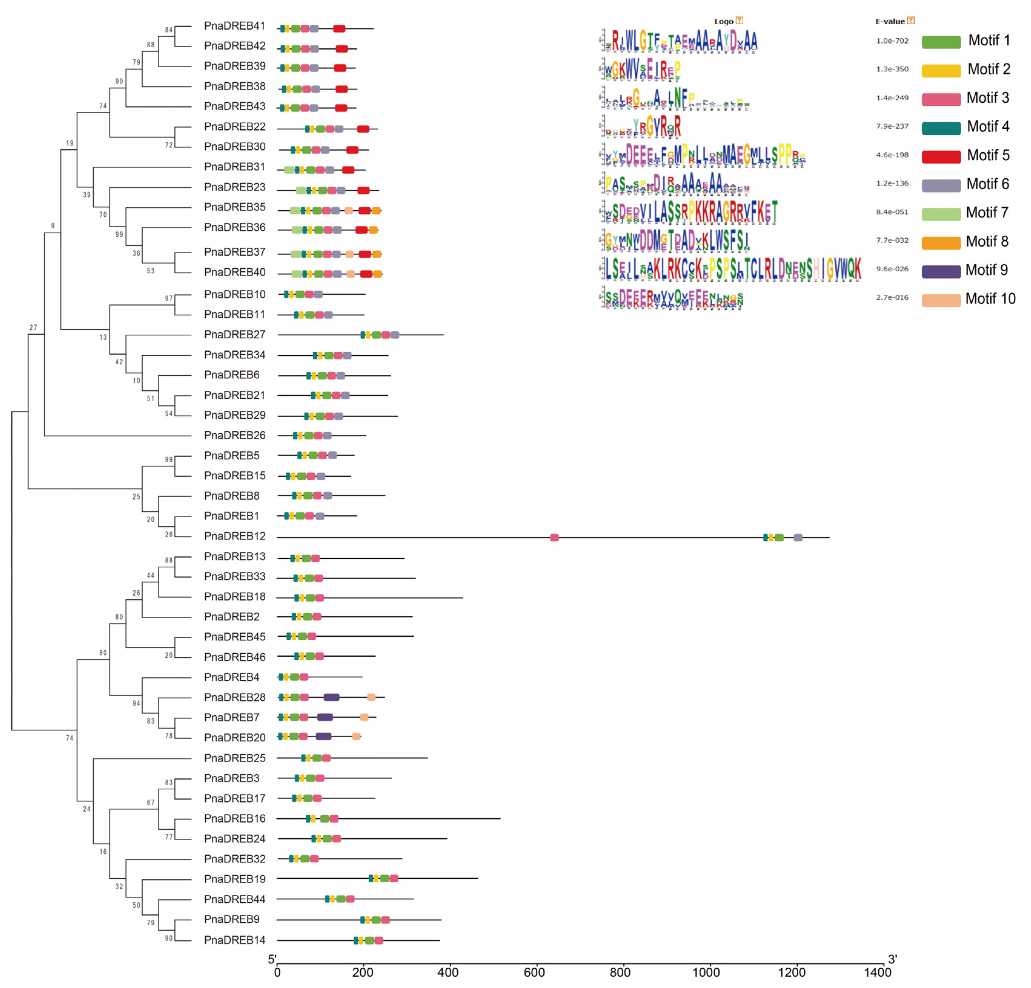 Genes 14 00811 g004 Genes 14 00811 g004