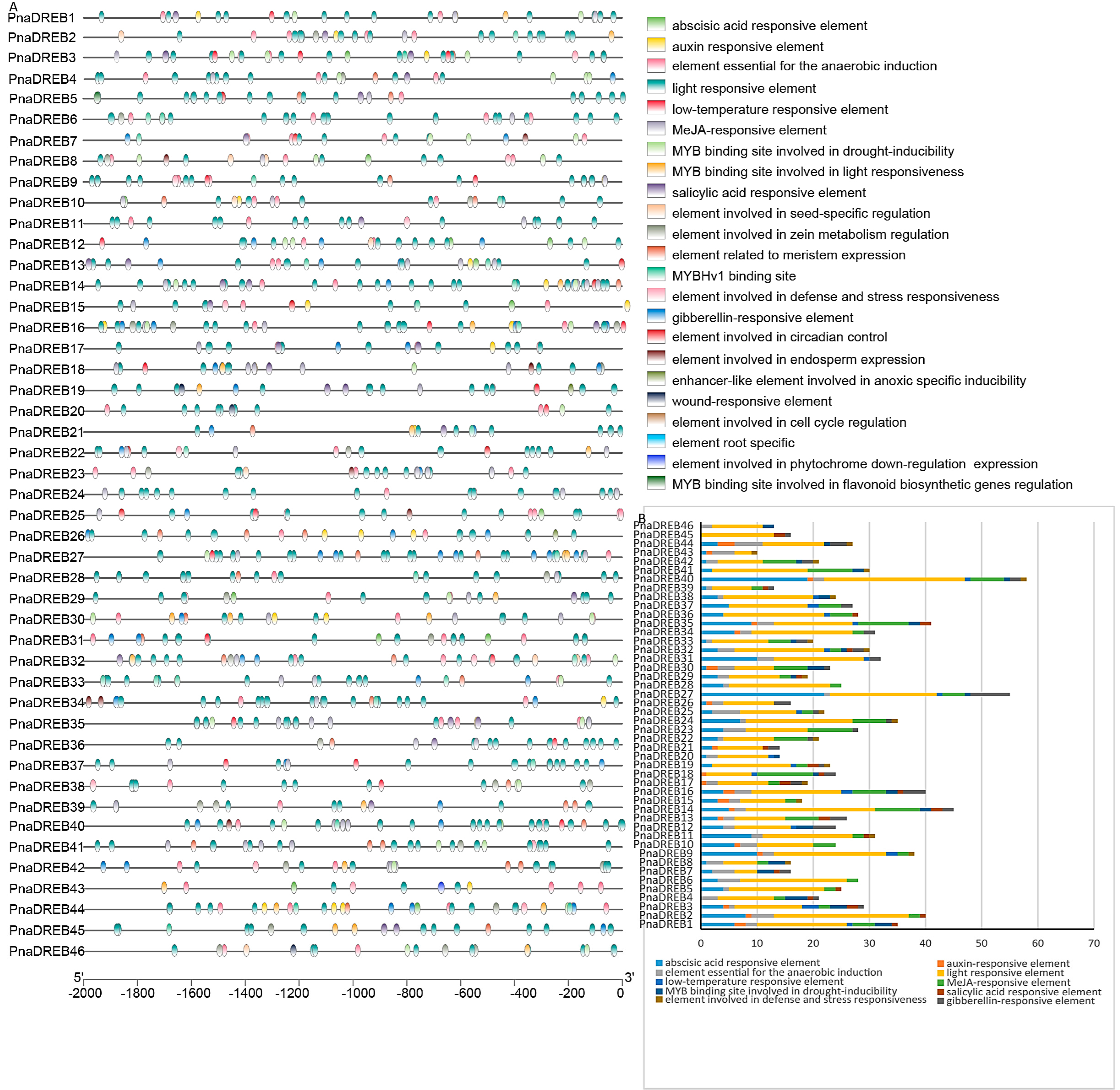 Genes 14 00811 g005 Genes 14 00811 g005