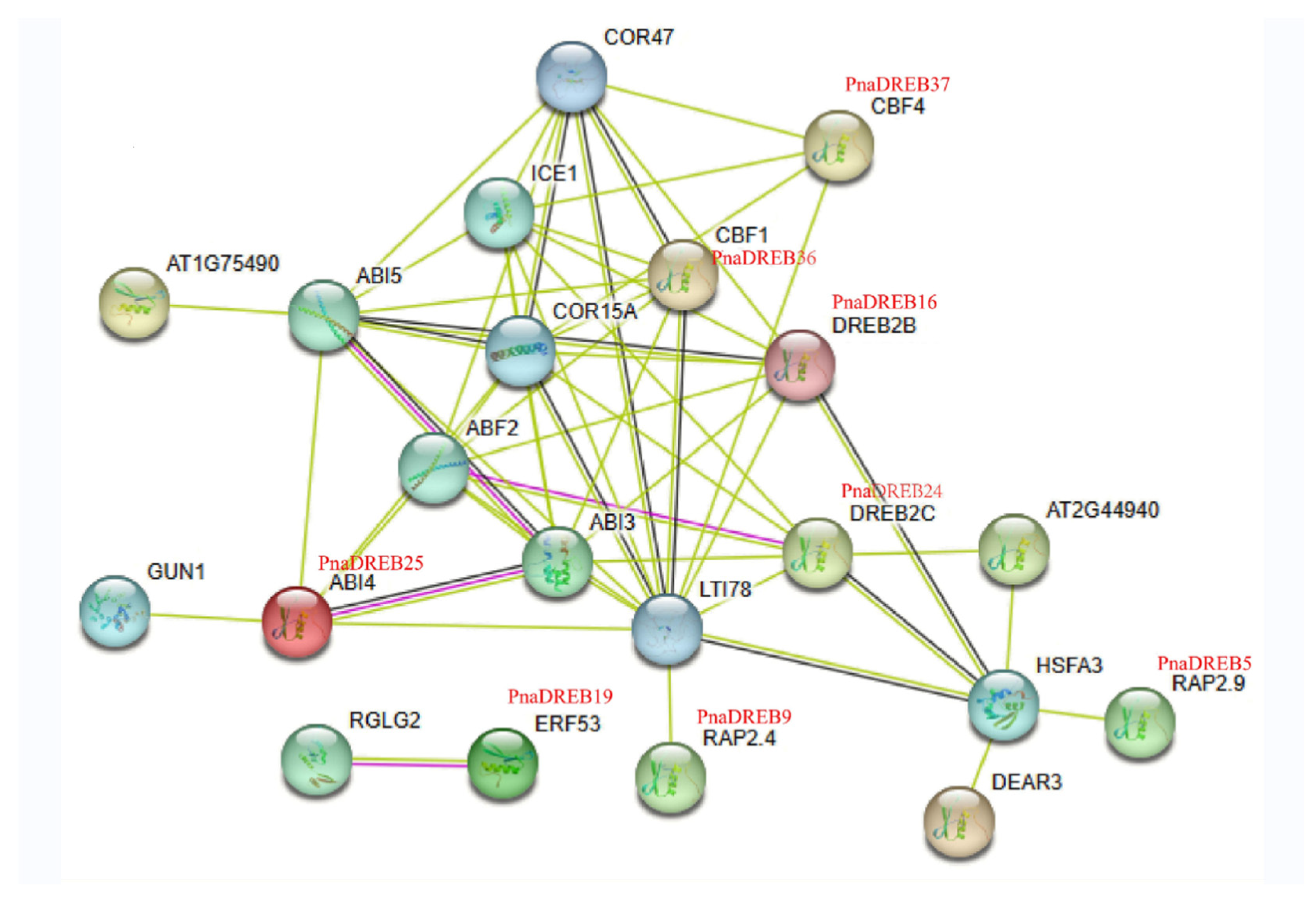 Genes 14 00811 g006 Genes 14 00811 g006