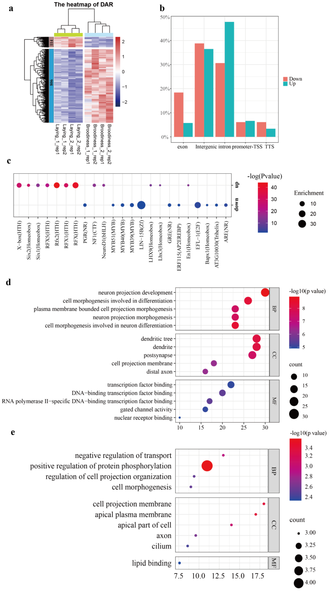 Genes 14 00815 g003