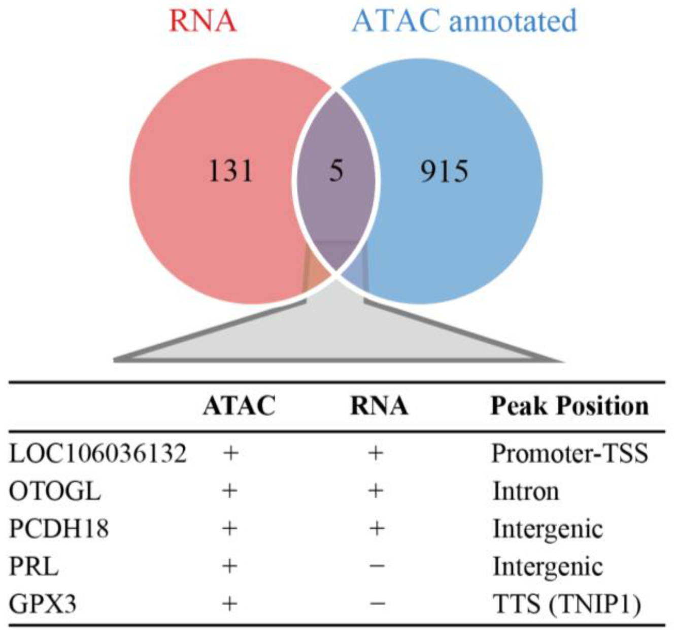 Genes 14 00815 g005