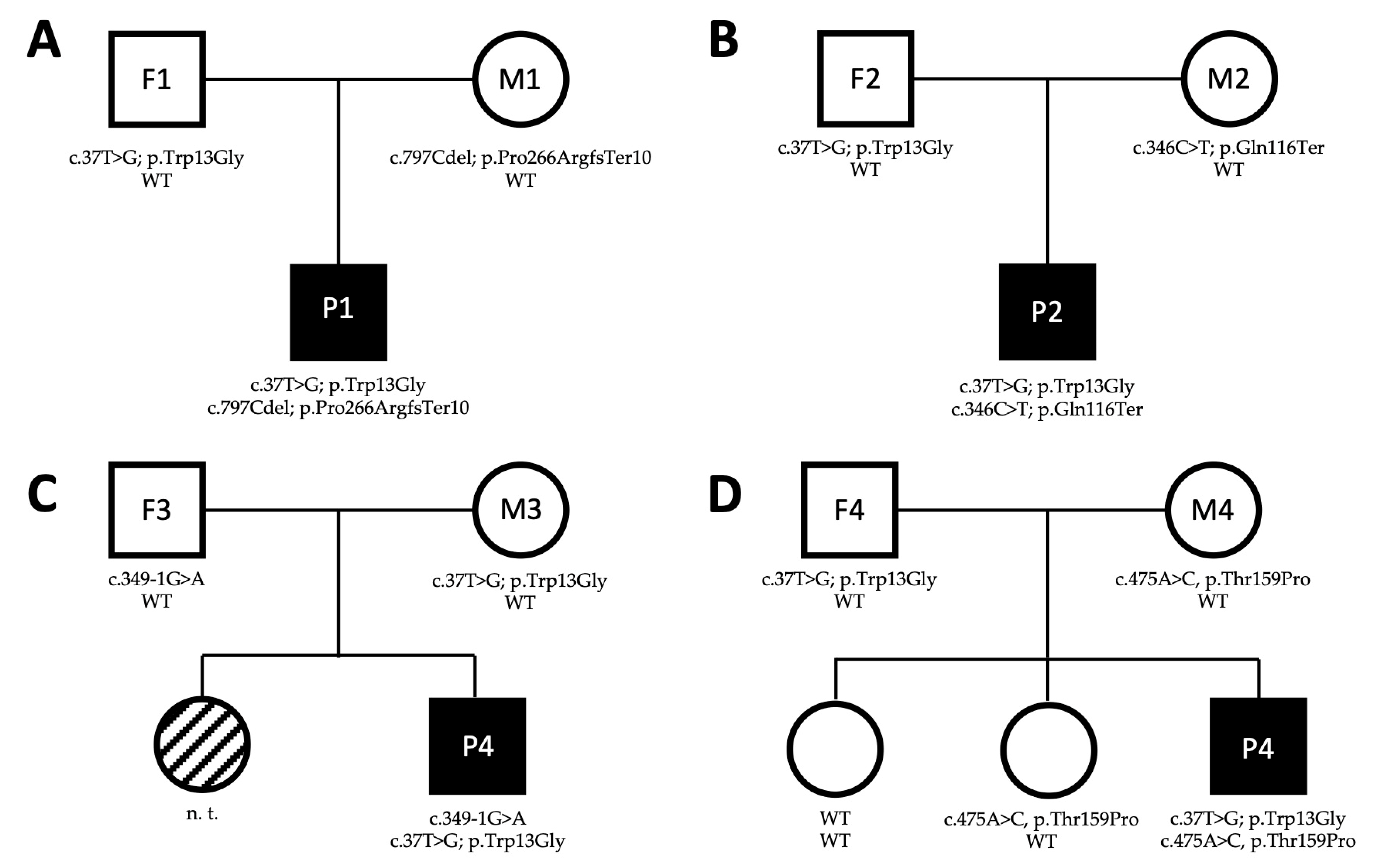 Genes 14 00822 g001 Genes 14 00822 g001
