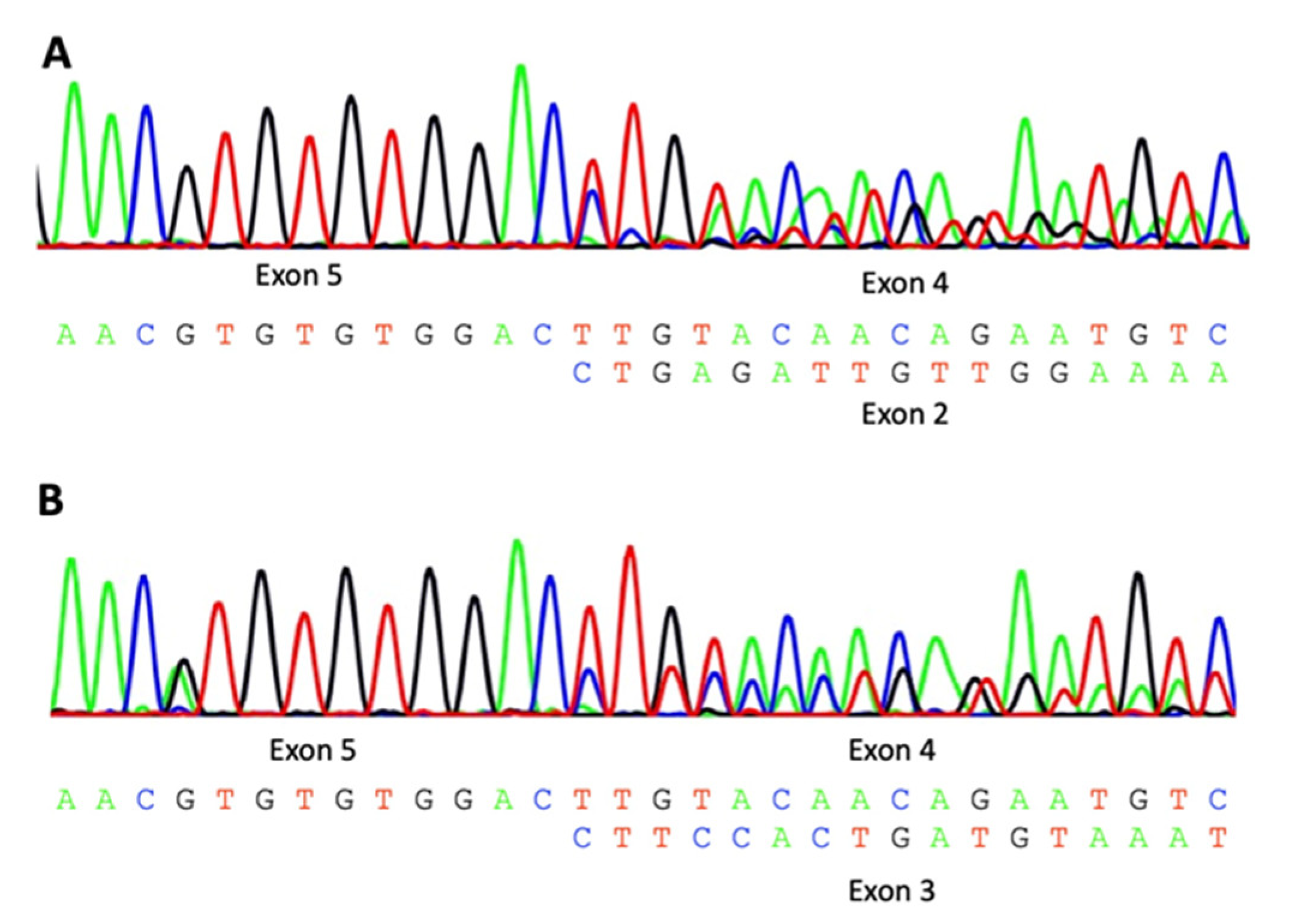 Genes 14 00822 g002 Genes 14 00822 g002