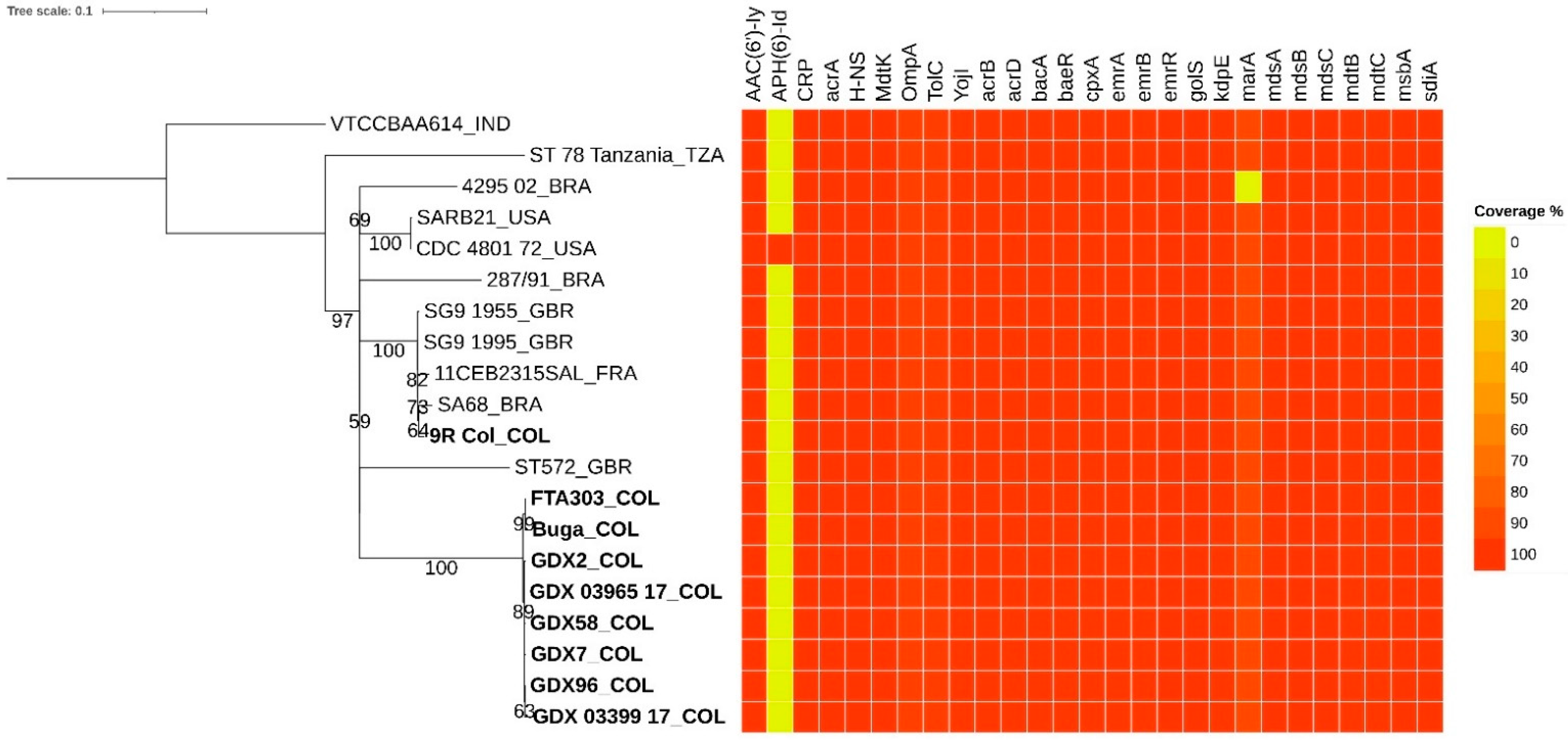 Genes 14 00823 g001 Genes 14 00823 g001