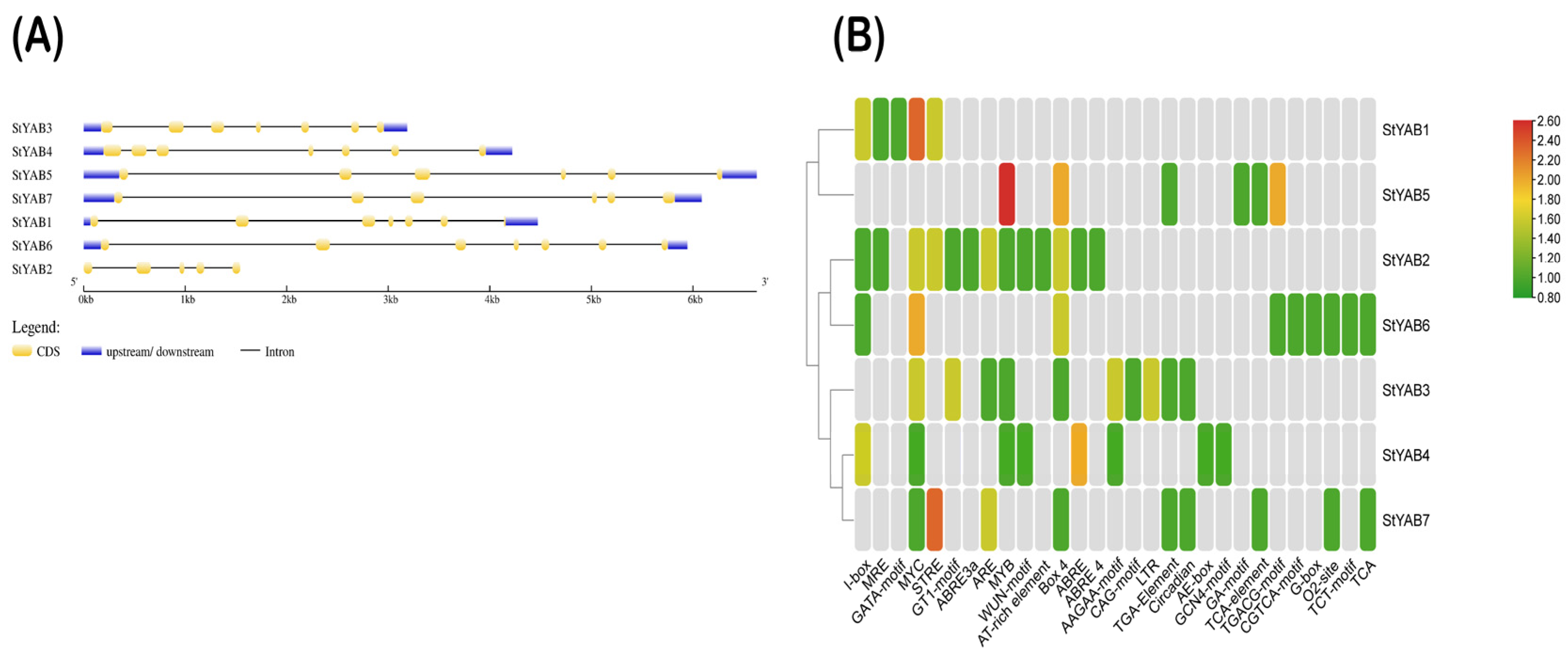 Genes 14 00824 g001 Genes 14 00824 g001