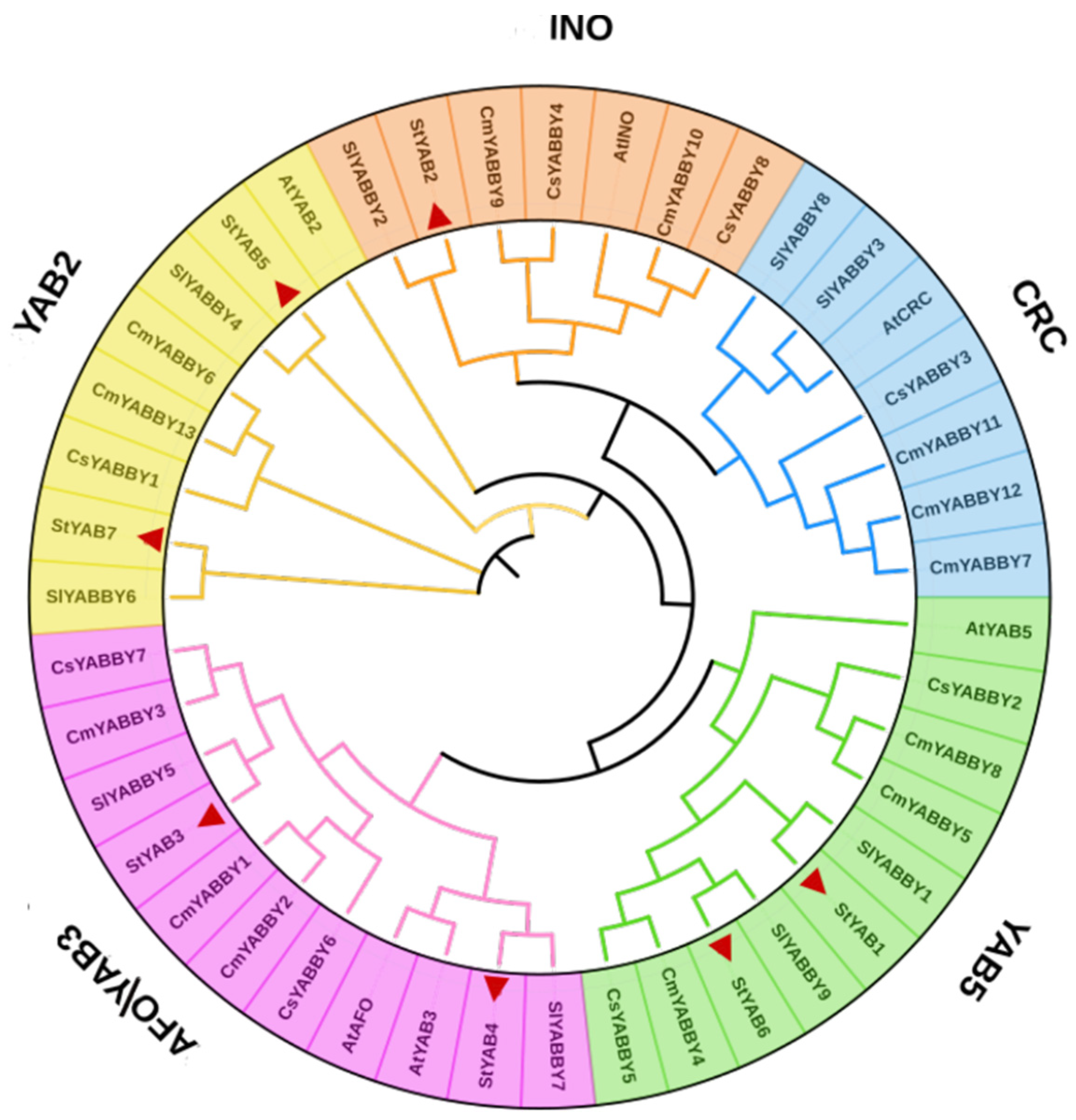 Genes 14 00824 g003 Genes 14 00824 g003