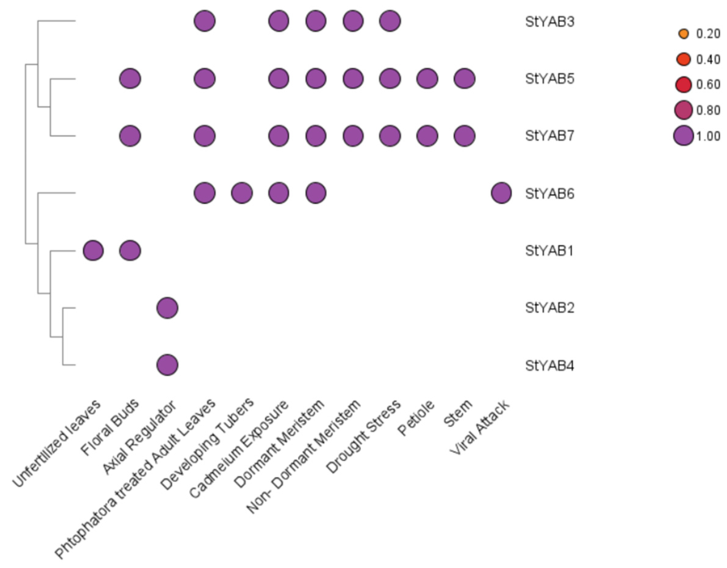Genes 14 00824 g007 Genes 14 00824 g007