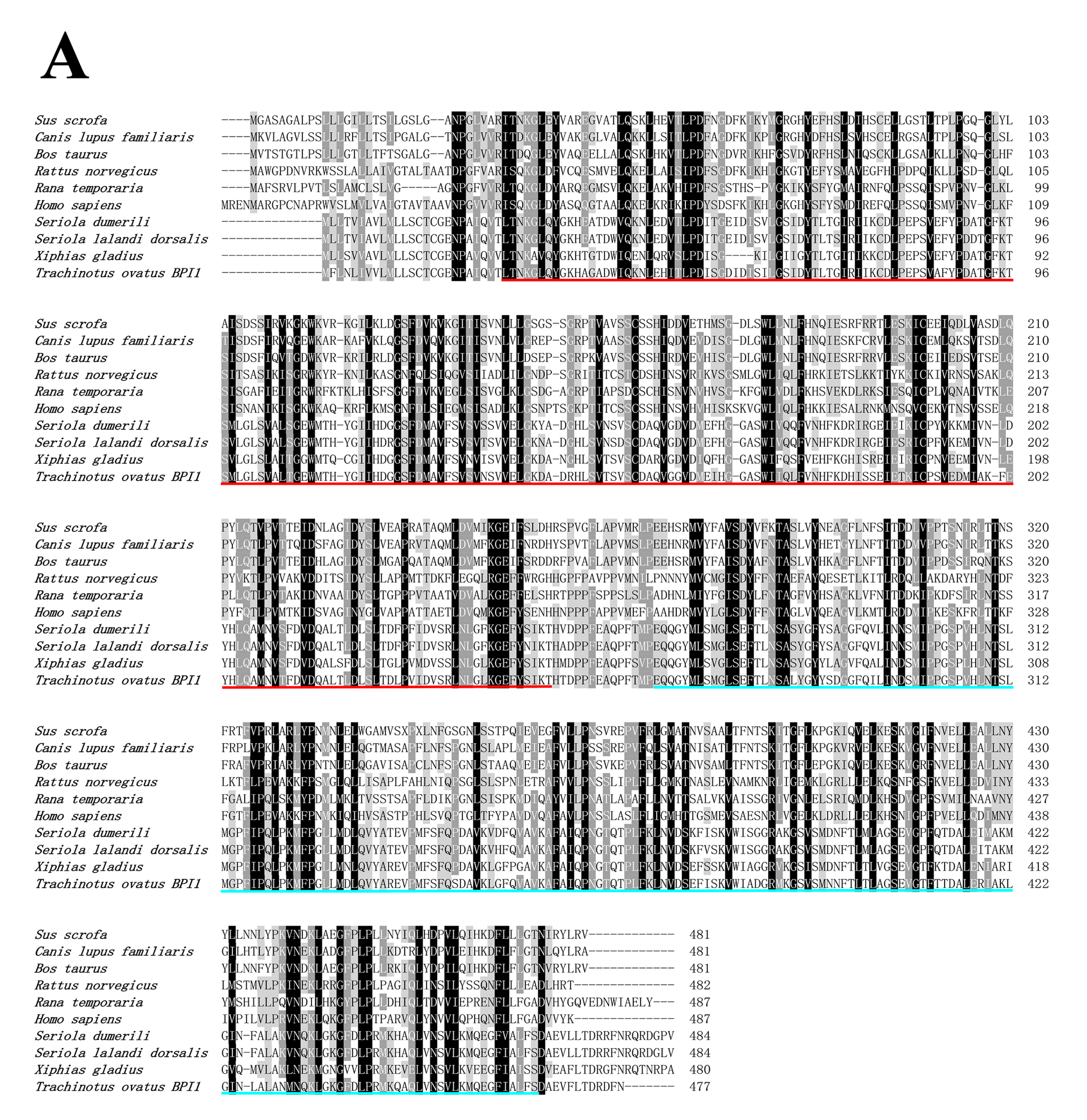 Genes 14 00826 g002a