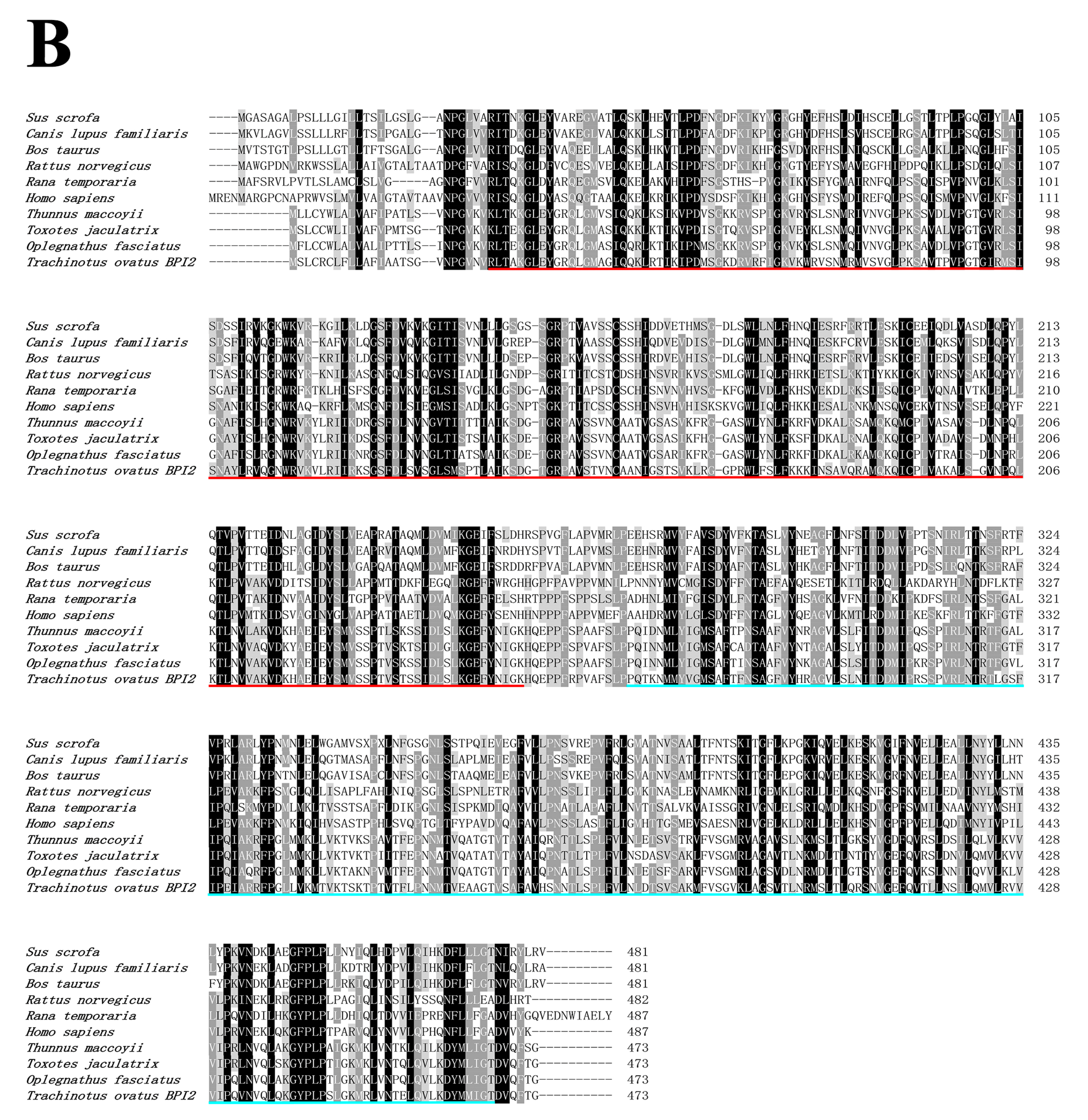 Genes 14 00826 g002b