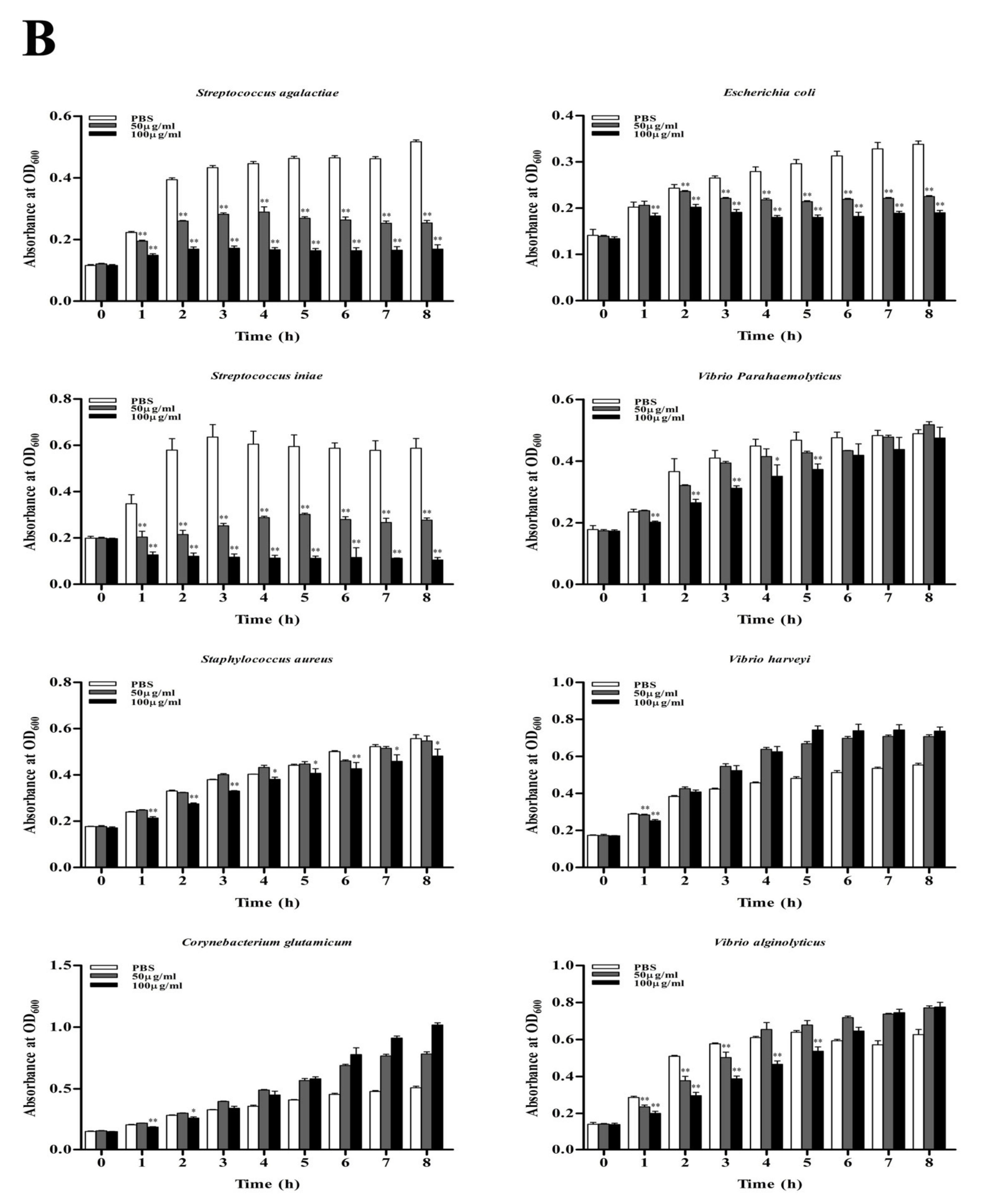 Genes 14 00826 g007b