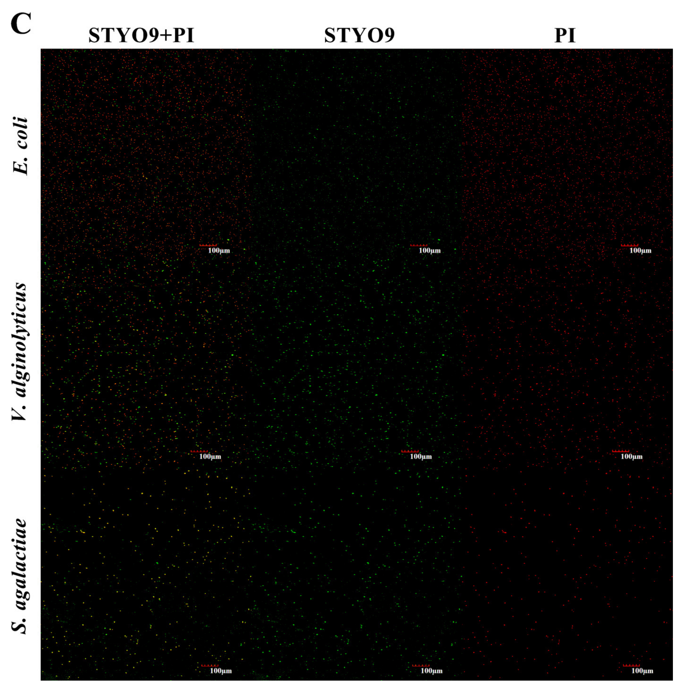 Genes 14 00826 g008b