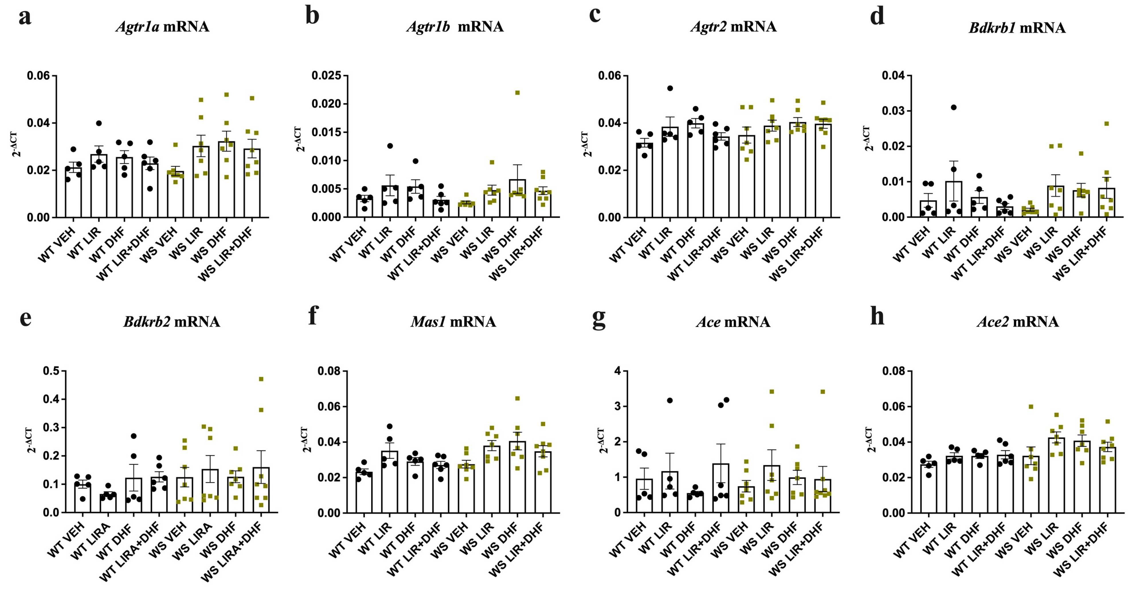 Genes 14 00827 g002 Genes 14 00827 g002