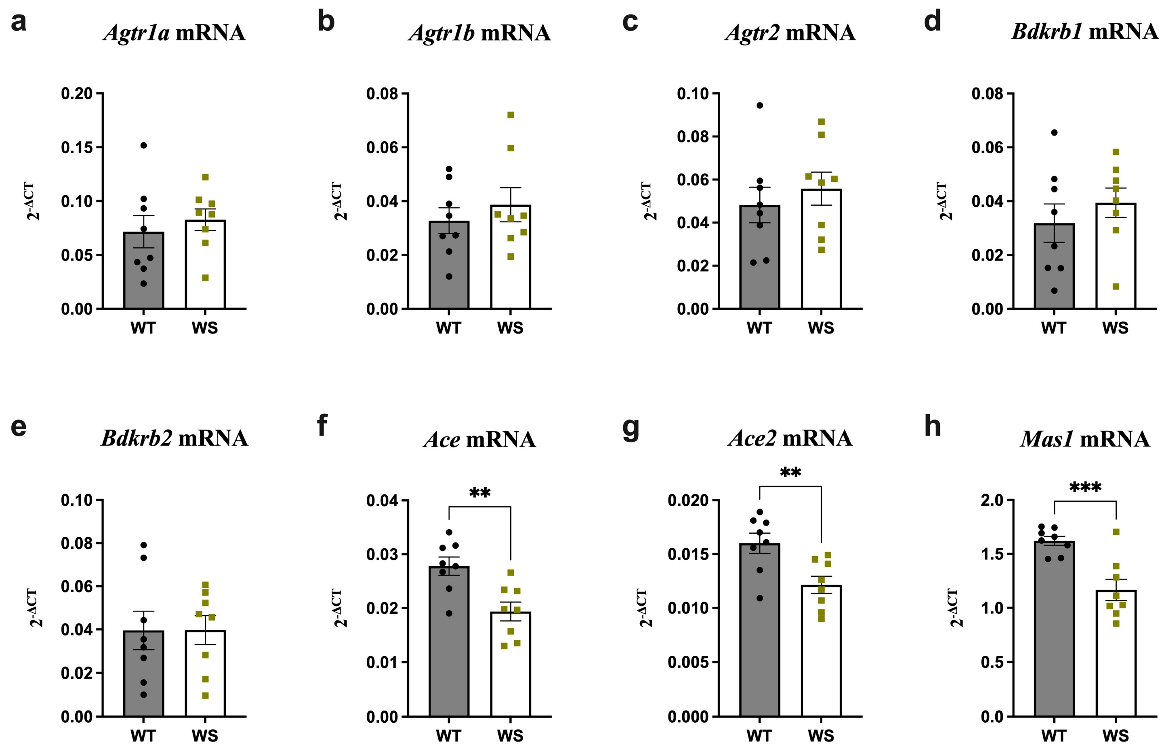 Genes 14 00827 g003 Genes 14 00827 g003