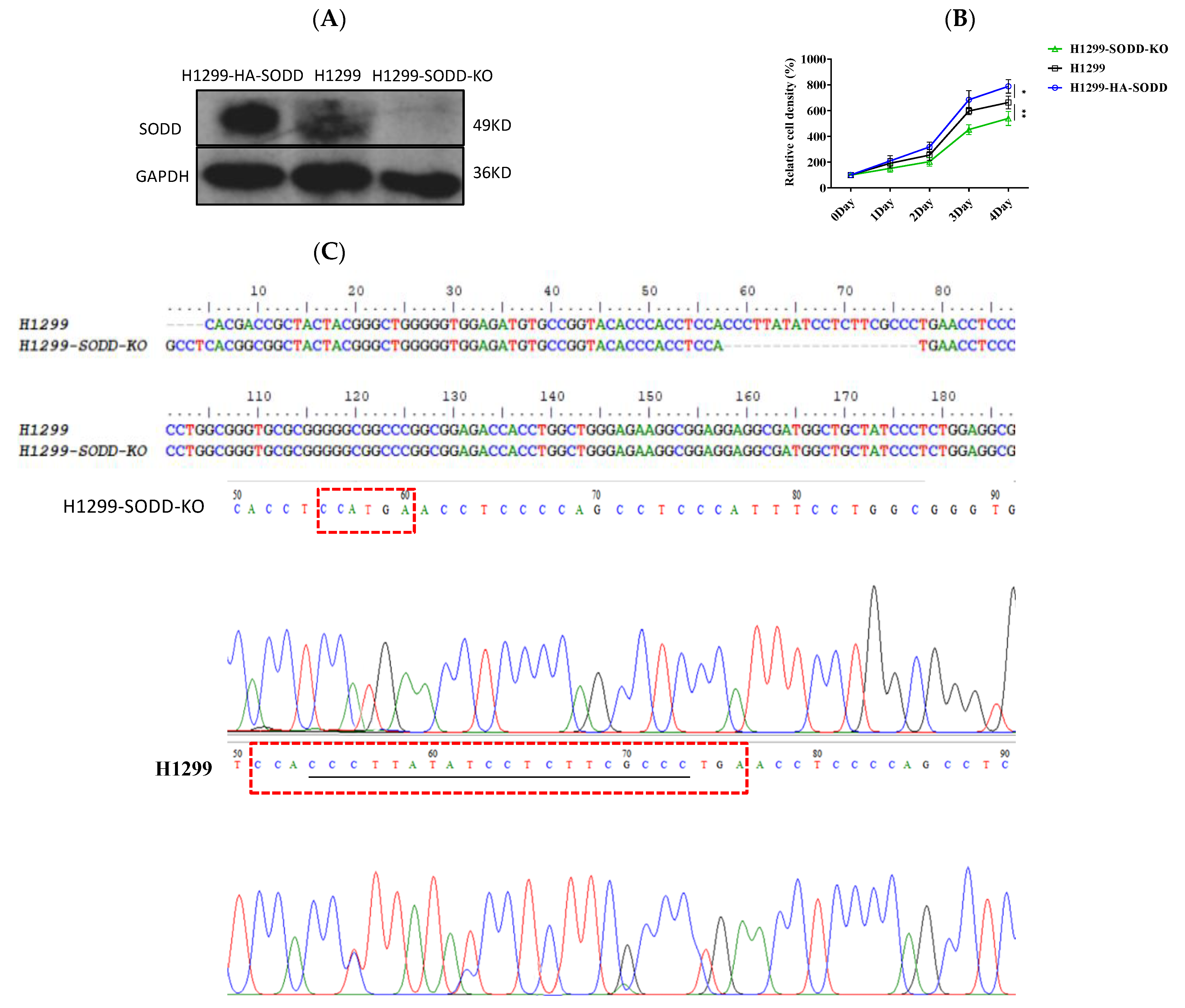 Genes 14 00829 g002 Genes 14 00829 g002