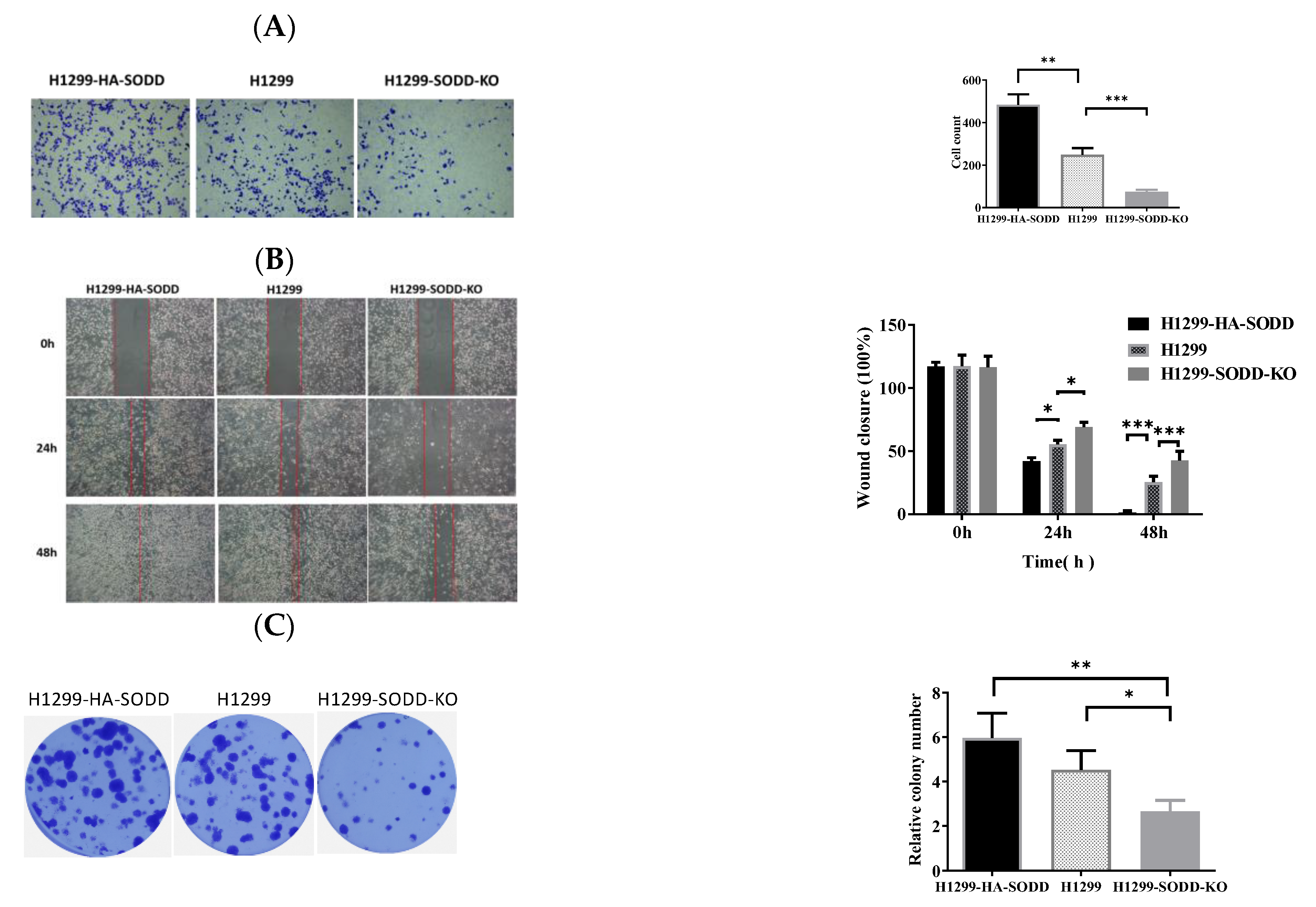 Genes 14 00829 g003 Genes 14 00829 g003