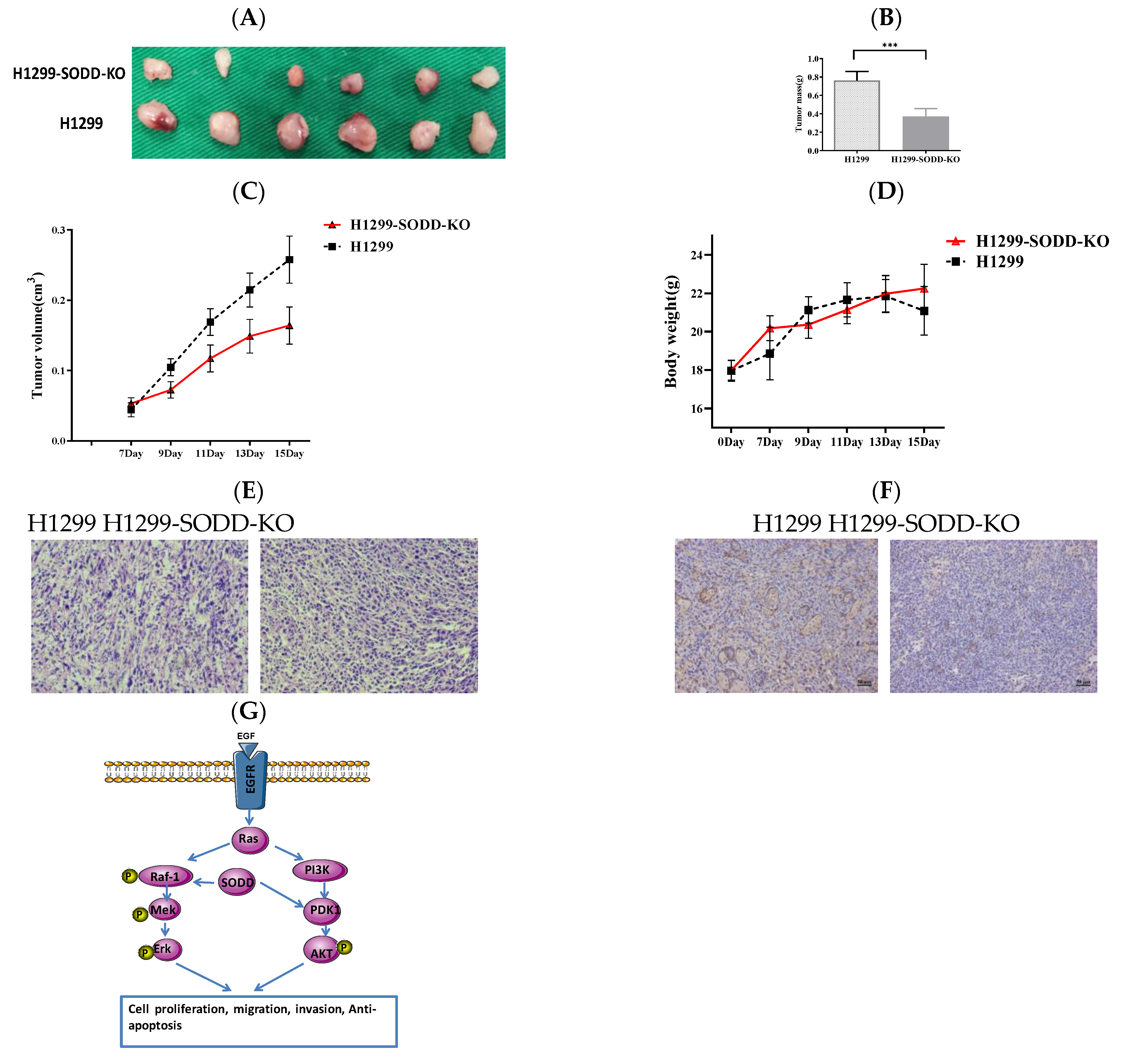 Genes 14 00829 g006 Genes 14 00829 g006
