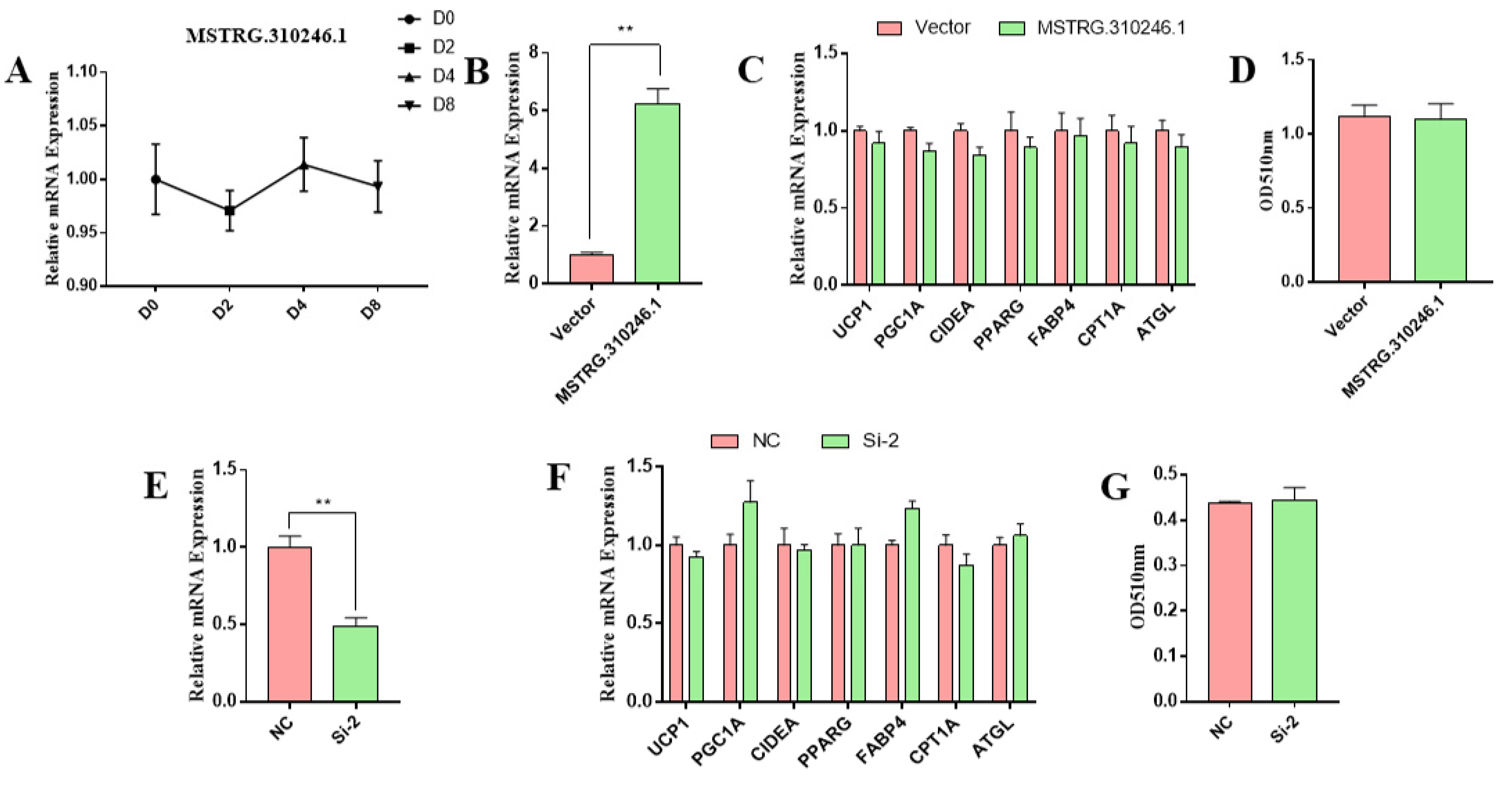 Genes 14 00833 g004 Genes 14 00833 g004