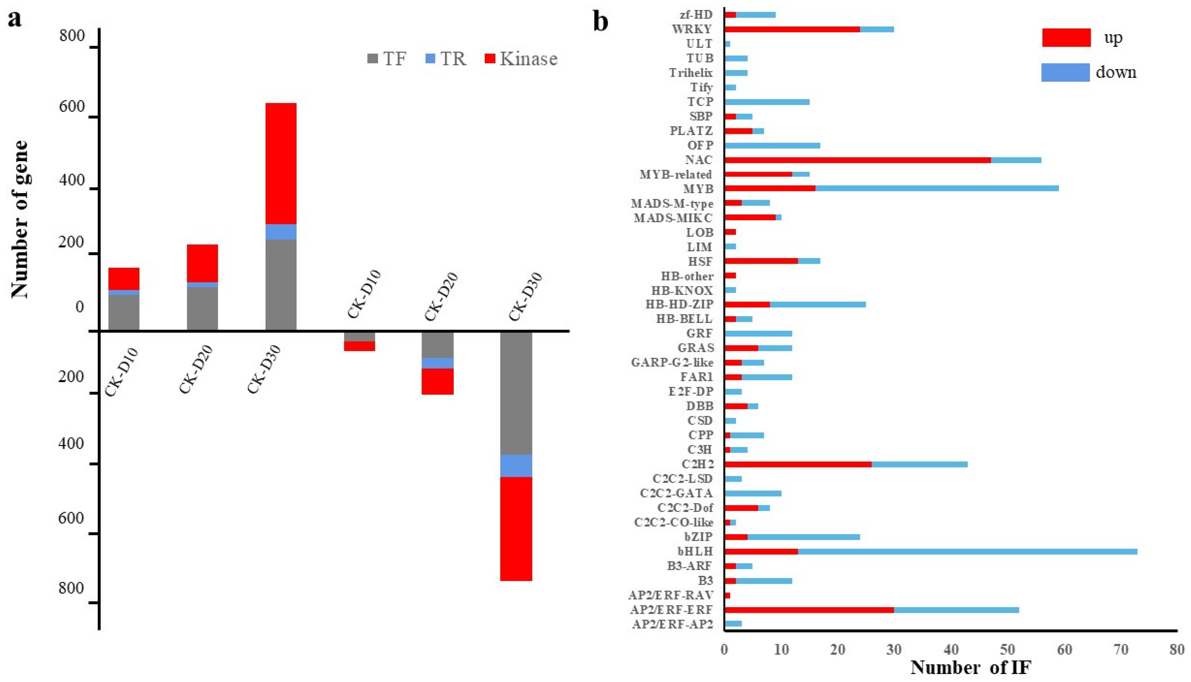 Genes 14 00844 g003 Genes 14 00844 g003