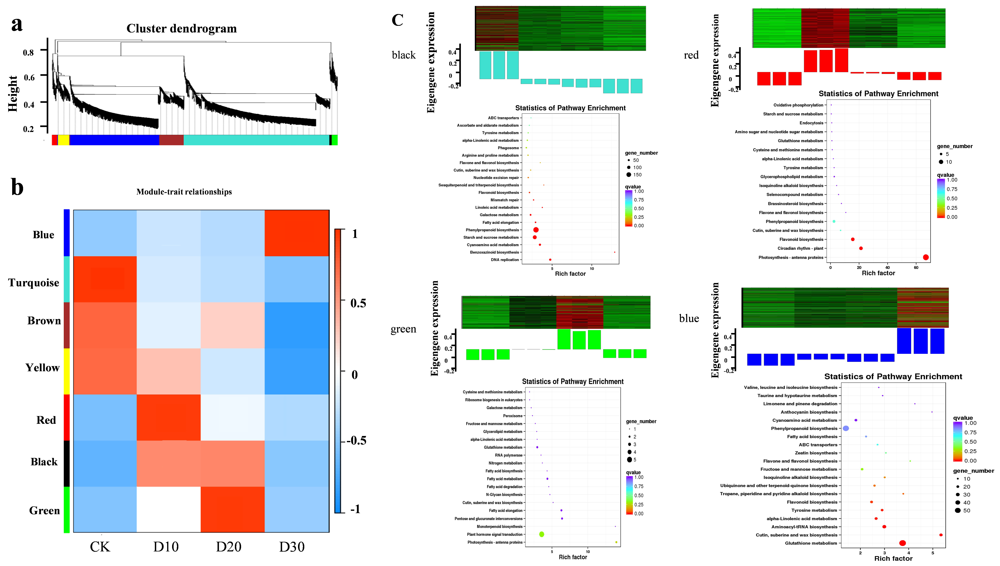 Genes 14 00844 g005 Genes 14 00844 g005