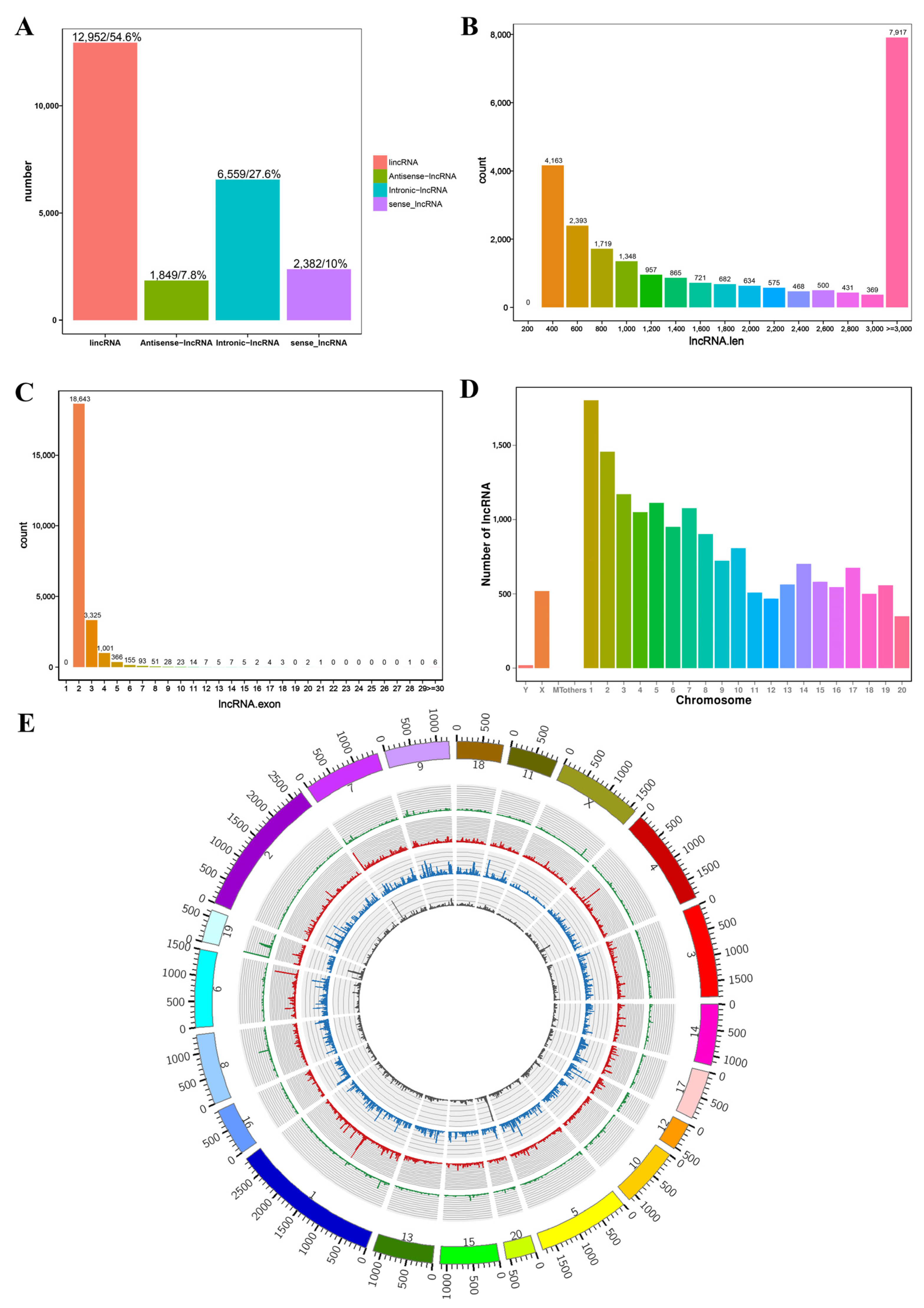 Genes 14 00846 g001