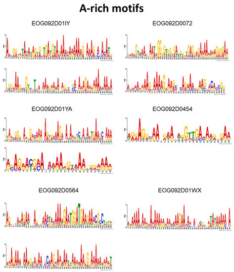 An in Silico Approach to Identifying TF Binding Sites: Analysis of the ...