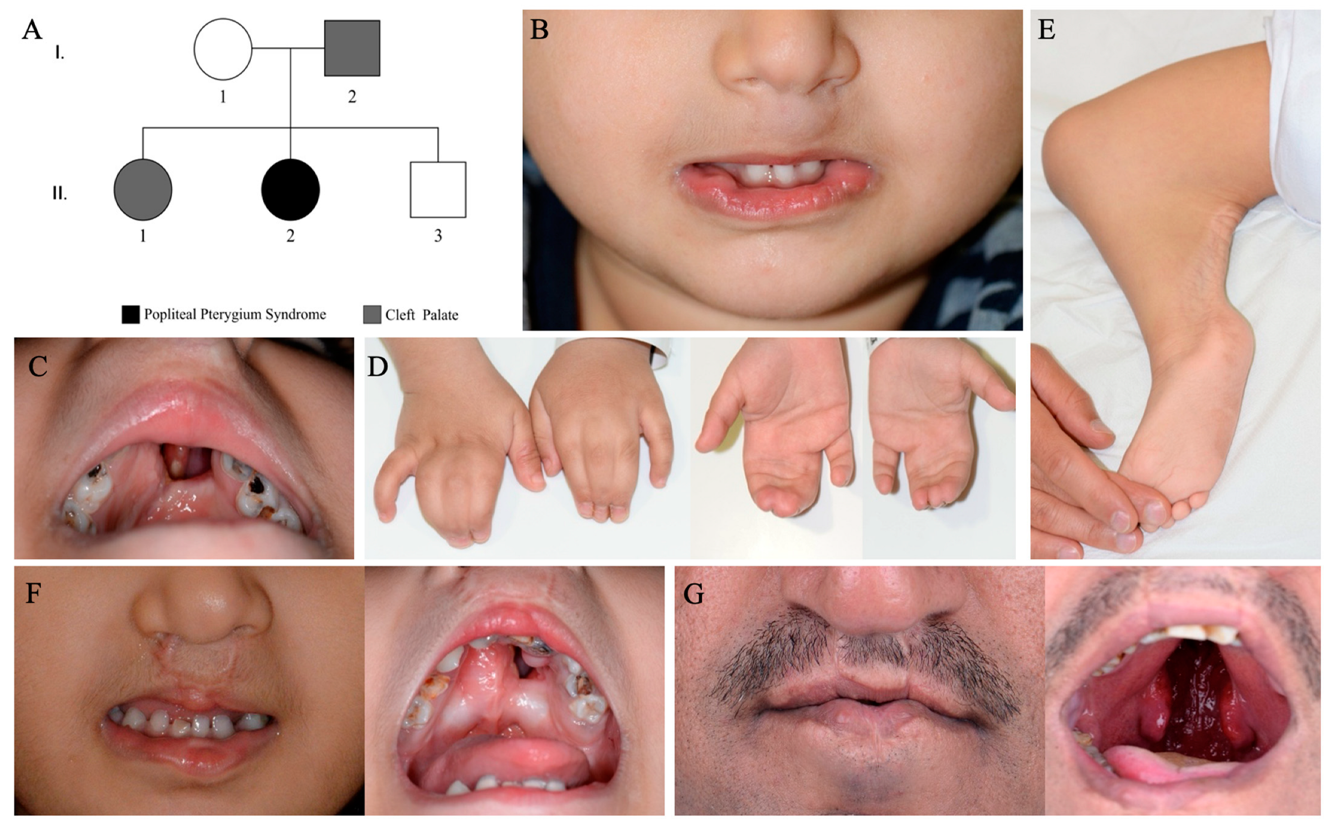 Genes 14 00849 g001 Genes 14 00849 g001