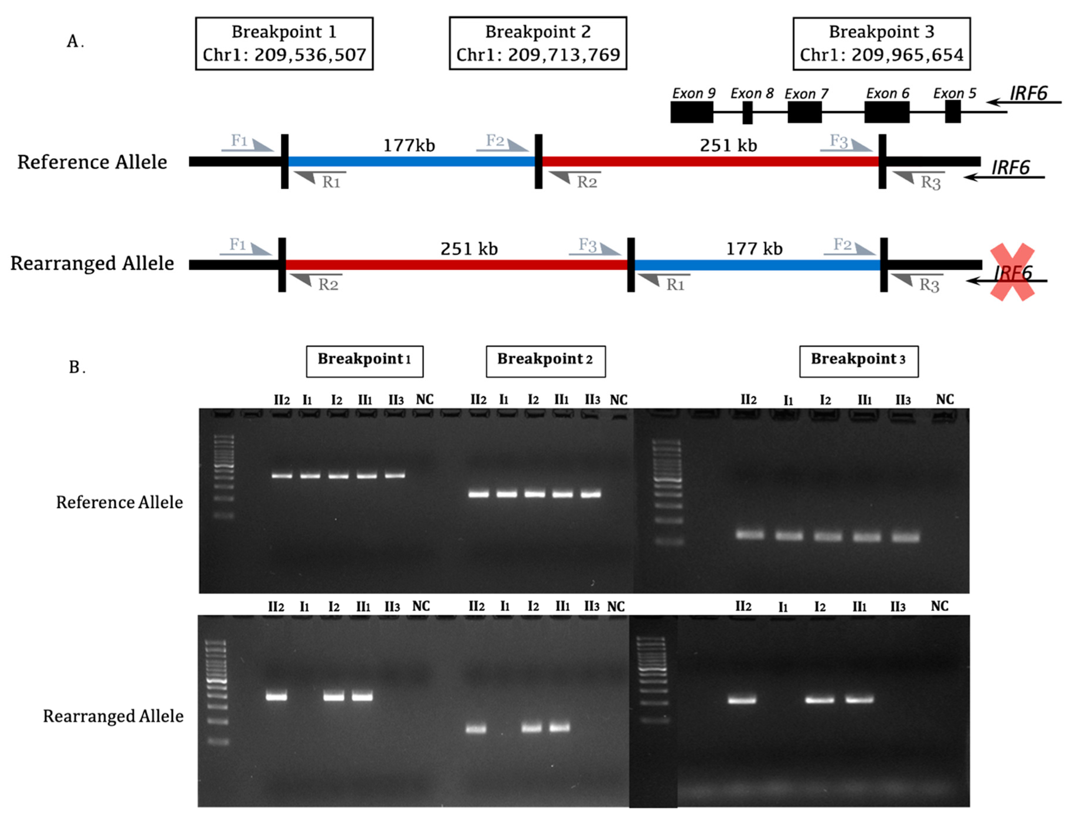 Genes 14 00849 g004 Genes 14 00849 g004