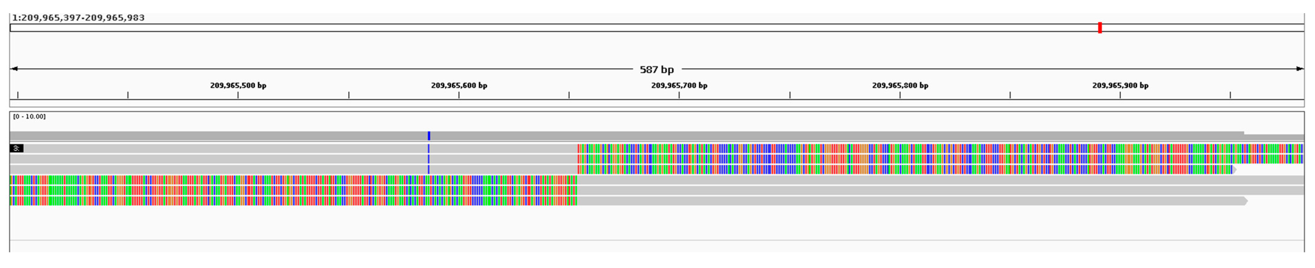 Genes 14 00849 g0a2 Genes 14 00849 g0a2