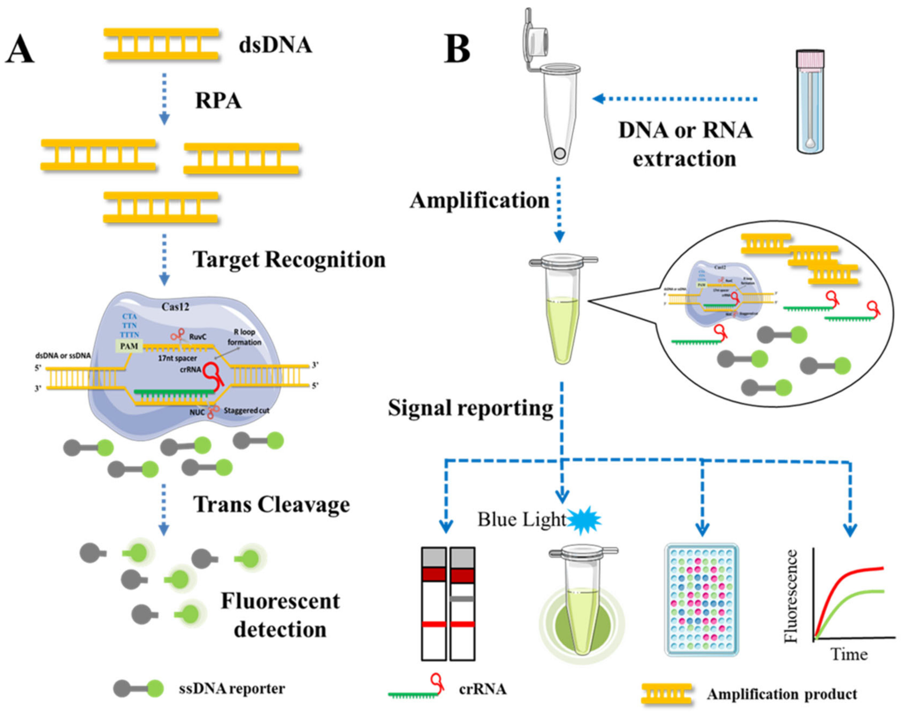 Genes 14 00850 g004 Genes 14 00850 g004
