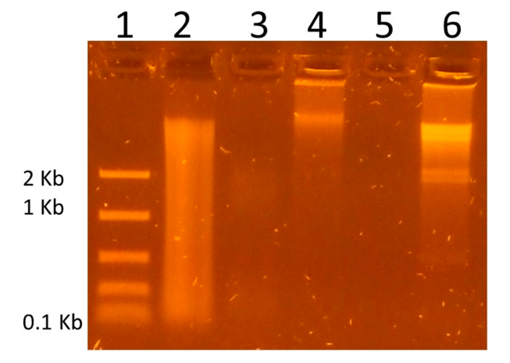 Genes 14 00851 g001 Genes 14 00851 g001